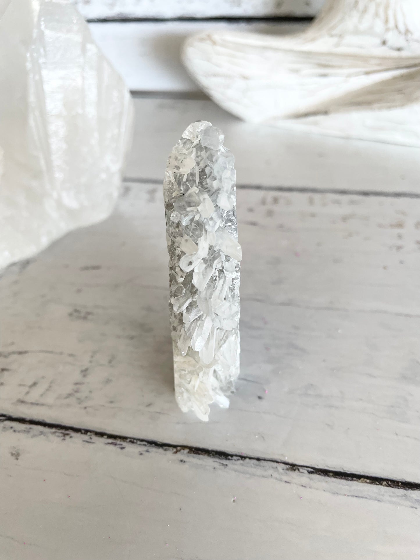 Quartz Sea Horse ~ 10