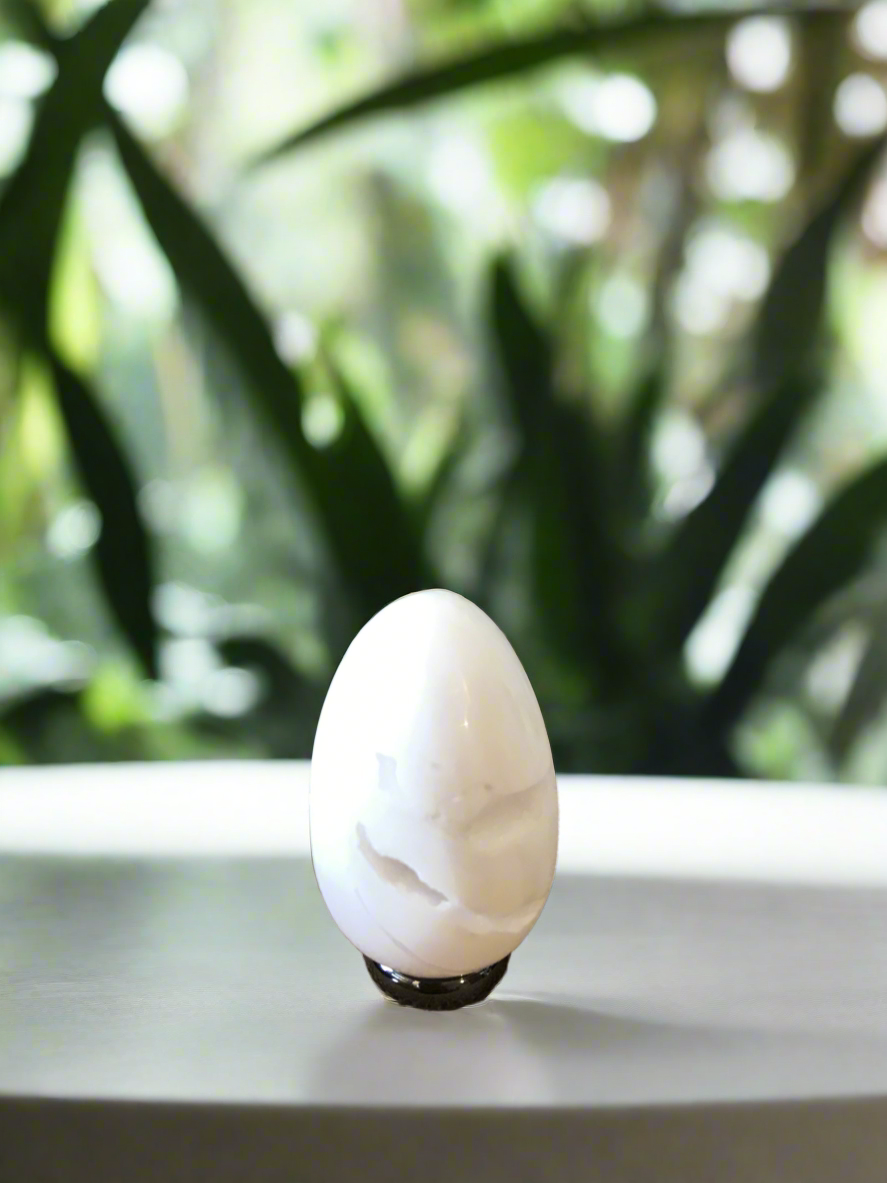 Snow Agate Egg with holder