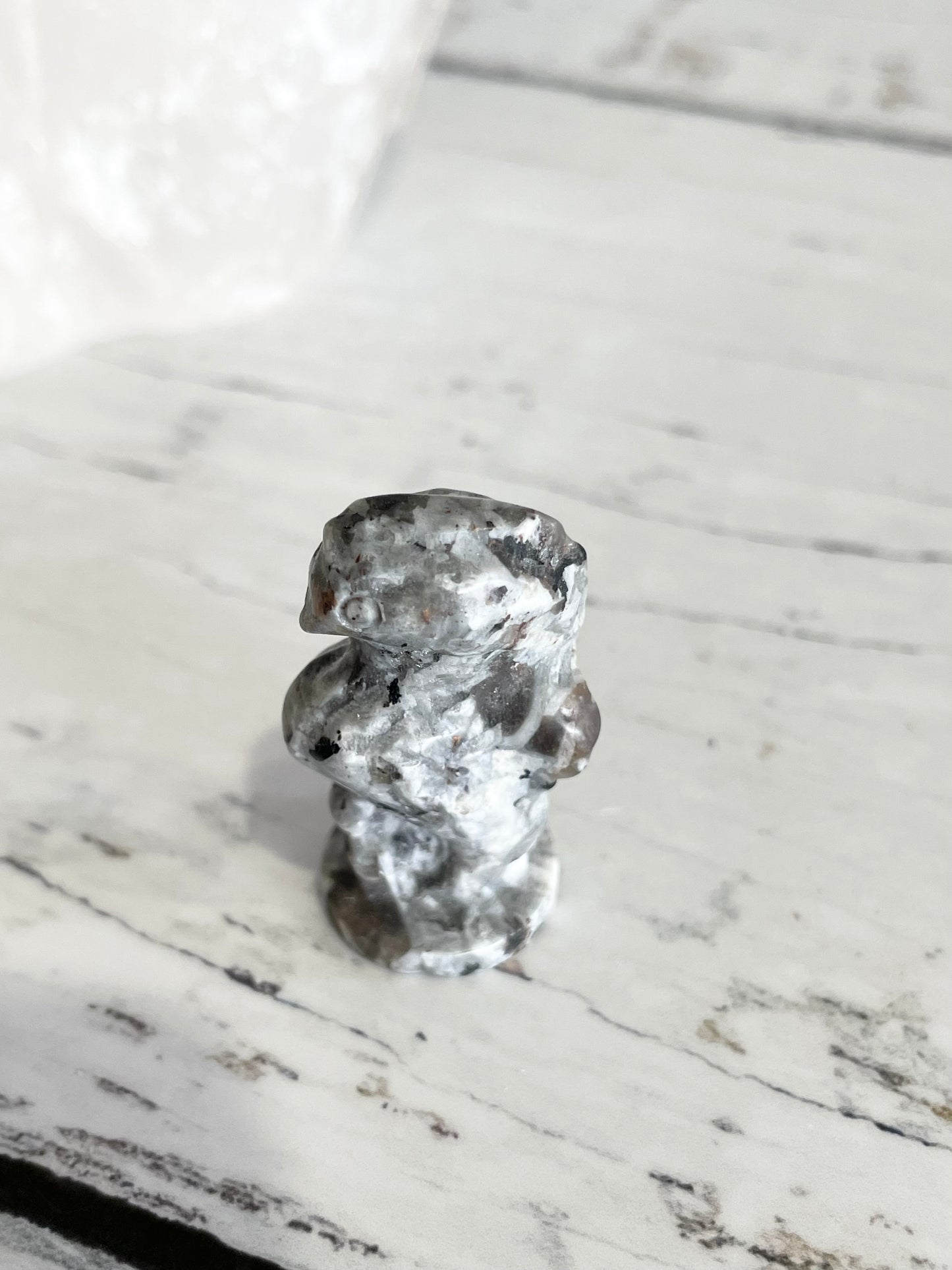 Sea Horse ~ Mixed Moonstone