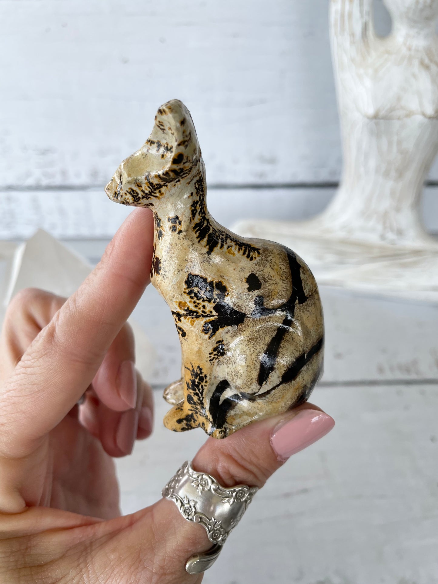Picture Jasper Spinx Cat ~ 7