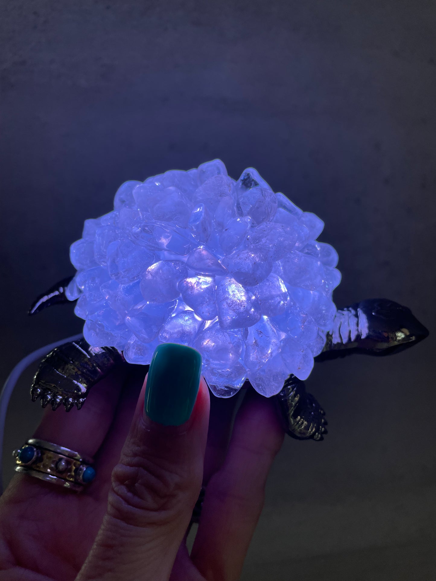 Tortoise Led Lamp ~ Clear Quartz