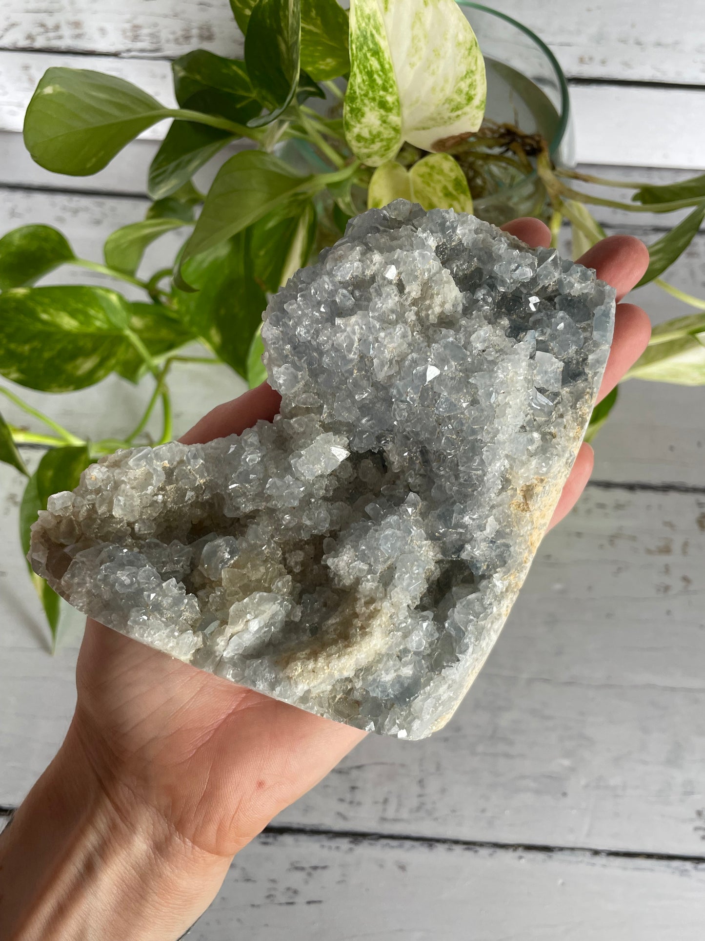 Celestite Cluster