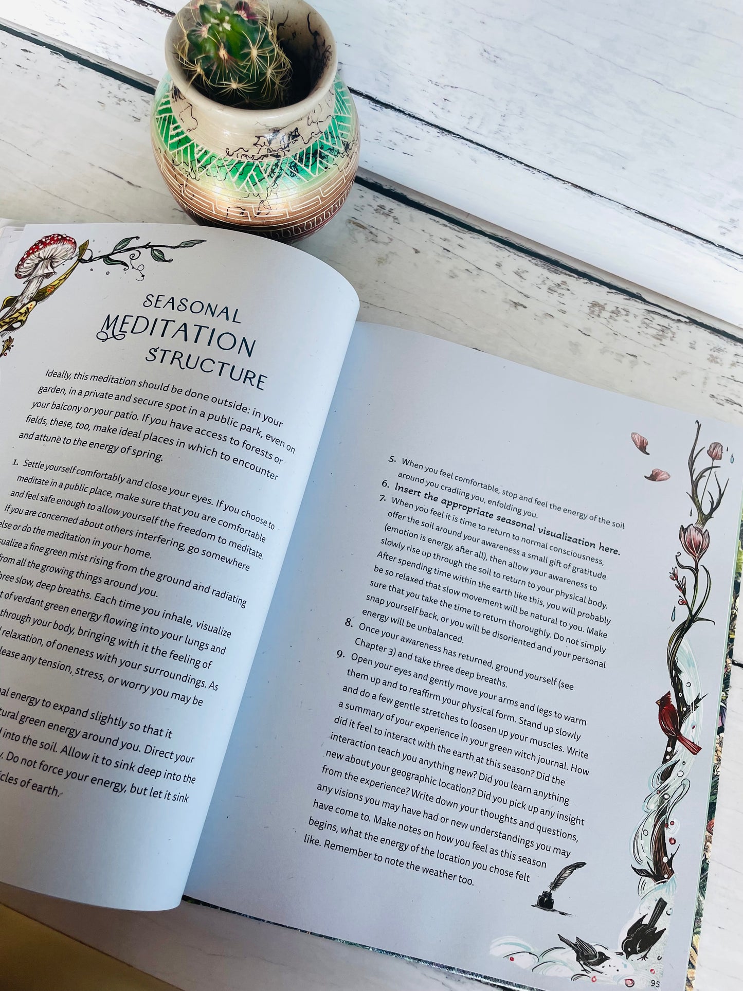 The Green Witch Illustrated