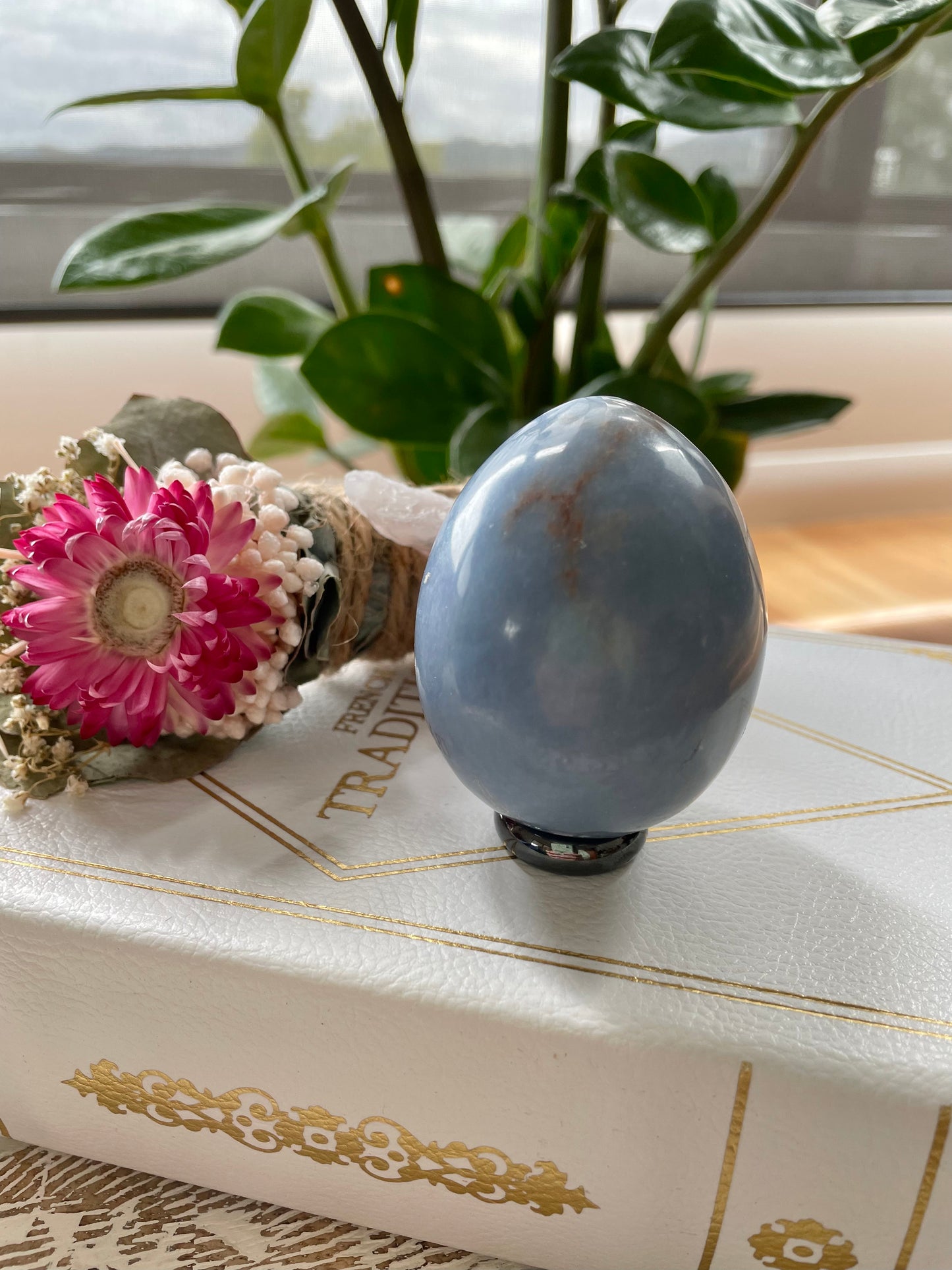Angelite Egg with holder