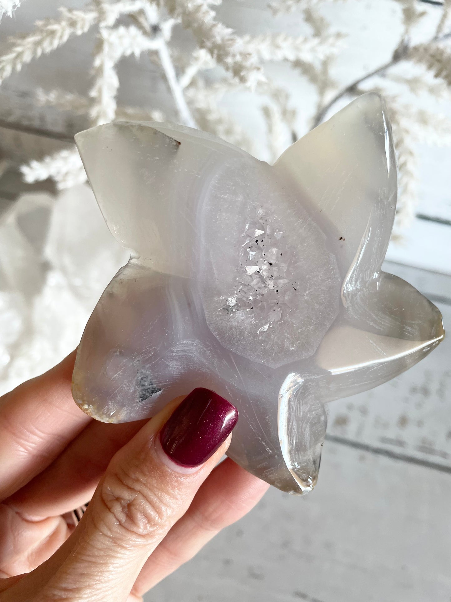 Natural Agate ~ Sea Star