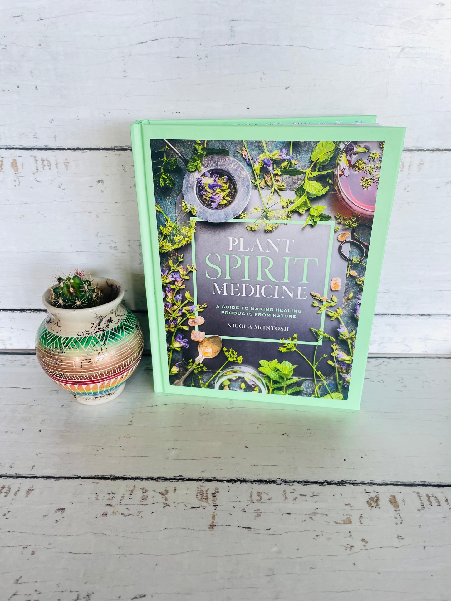 Plant Spirit Medicine