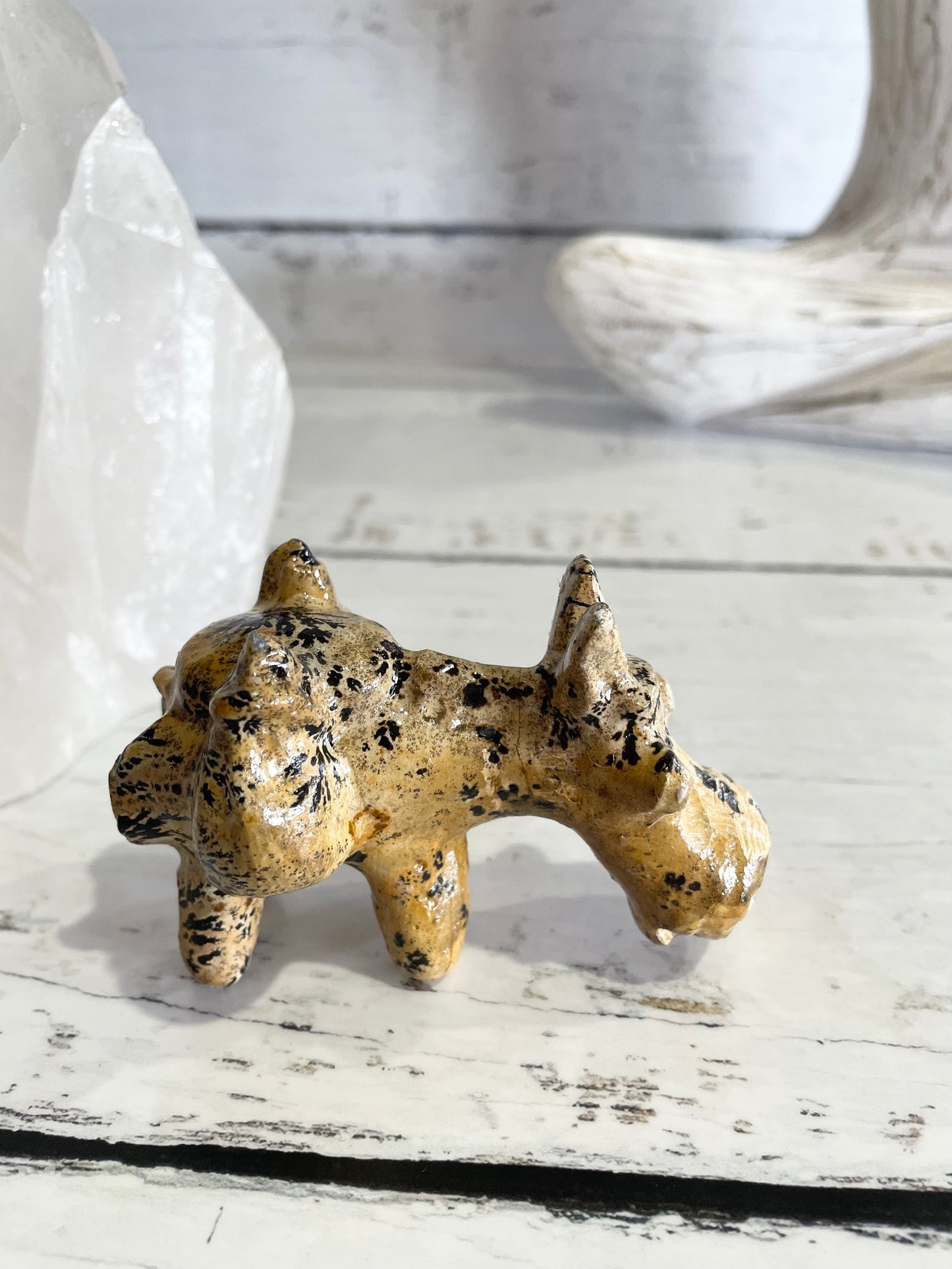 Picture Jasper Donkey ~ 11
