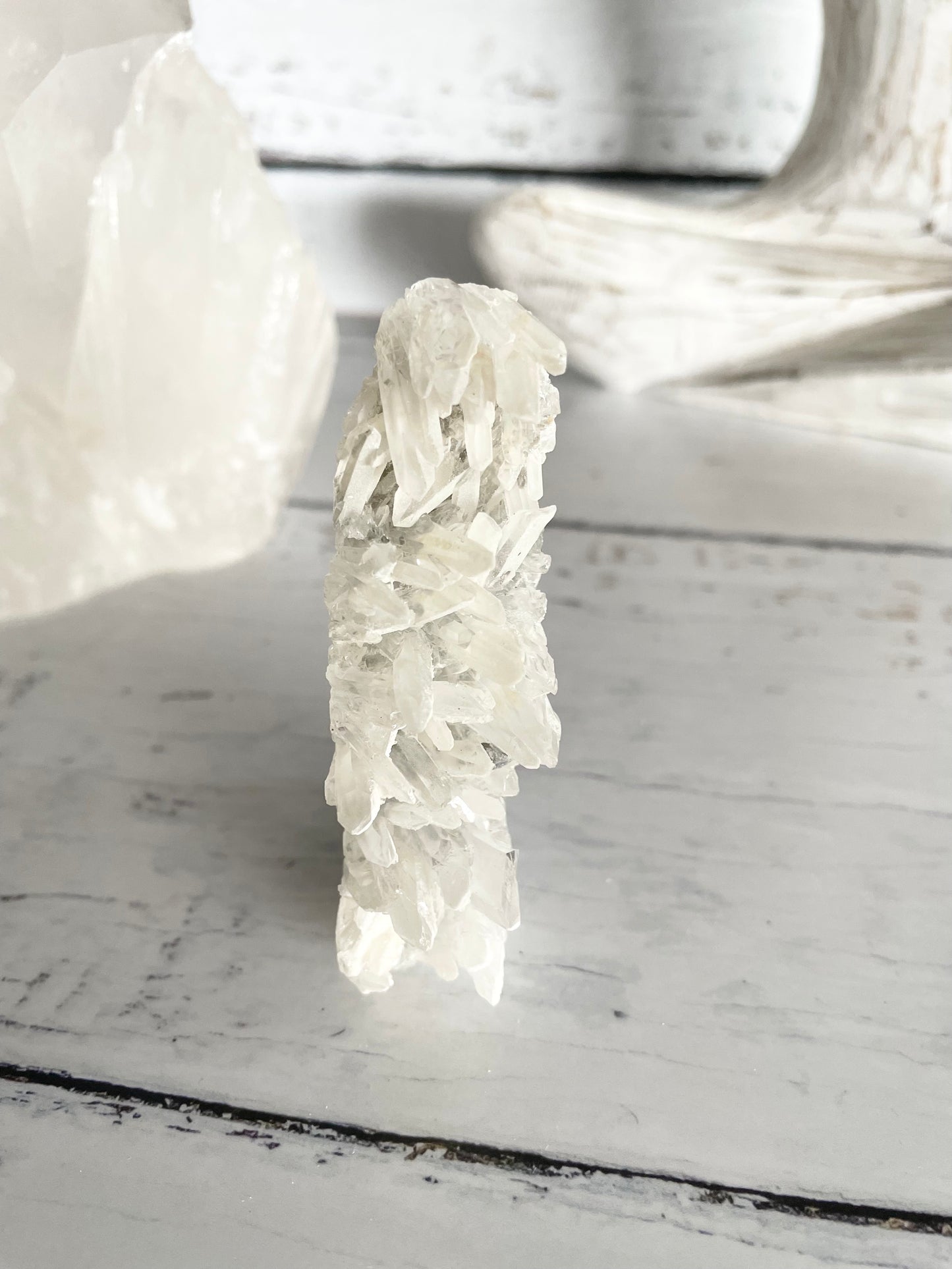 Quartz Sea Horse ~ 3