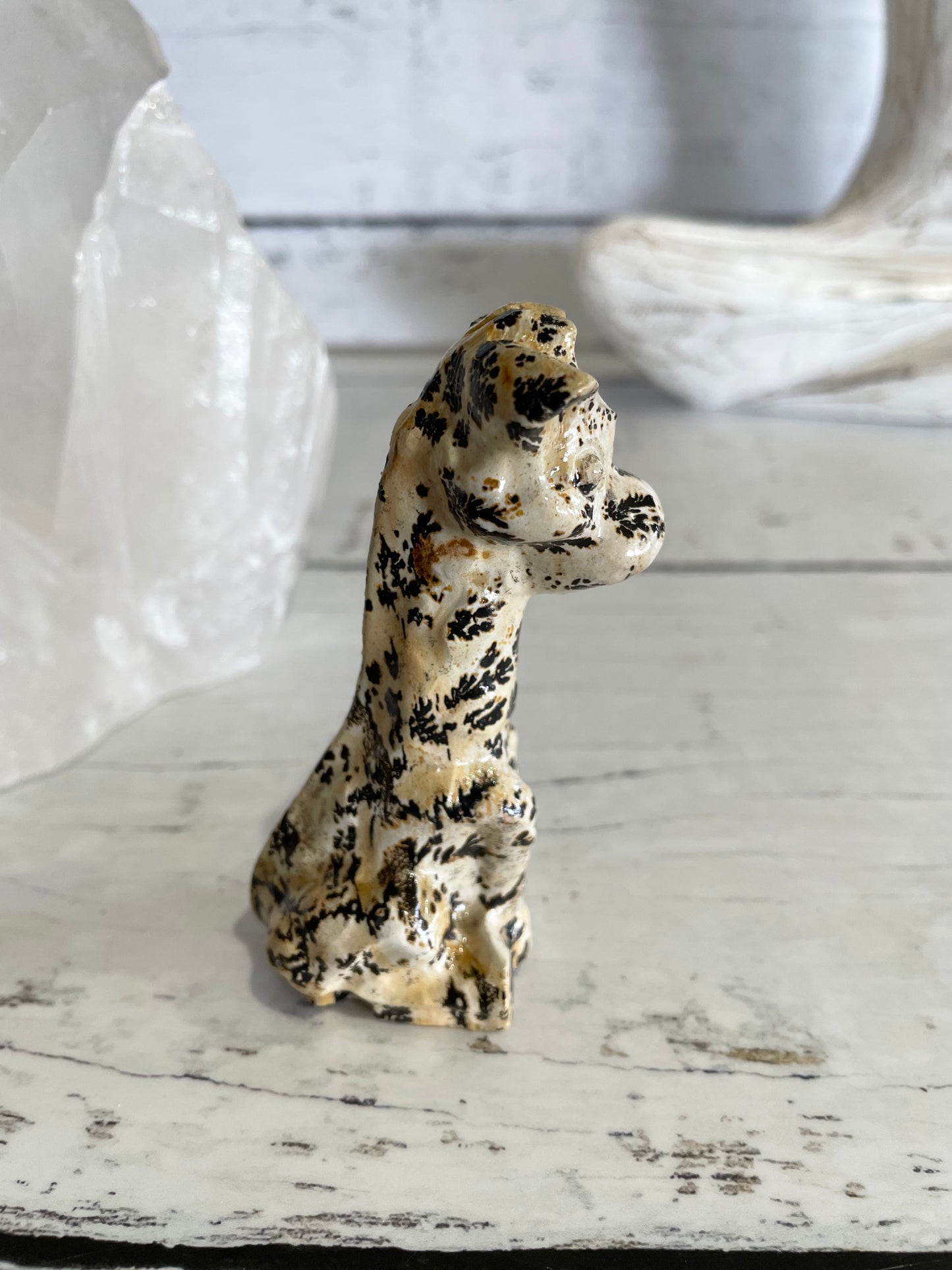 Picture Jasper Giraffe ~ 18