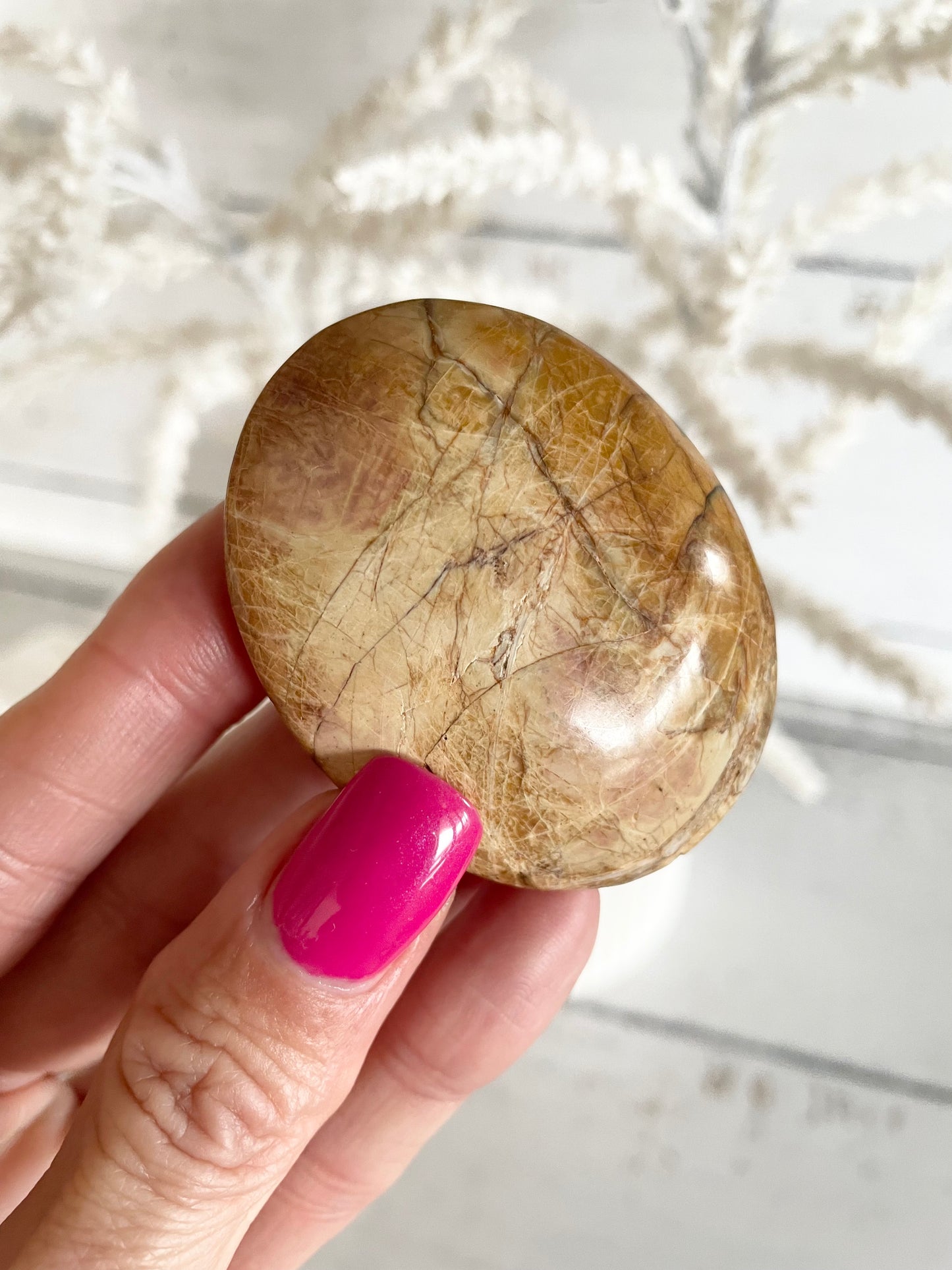 Cherry Creek Jasper Palm Stone