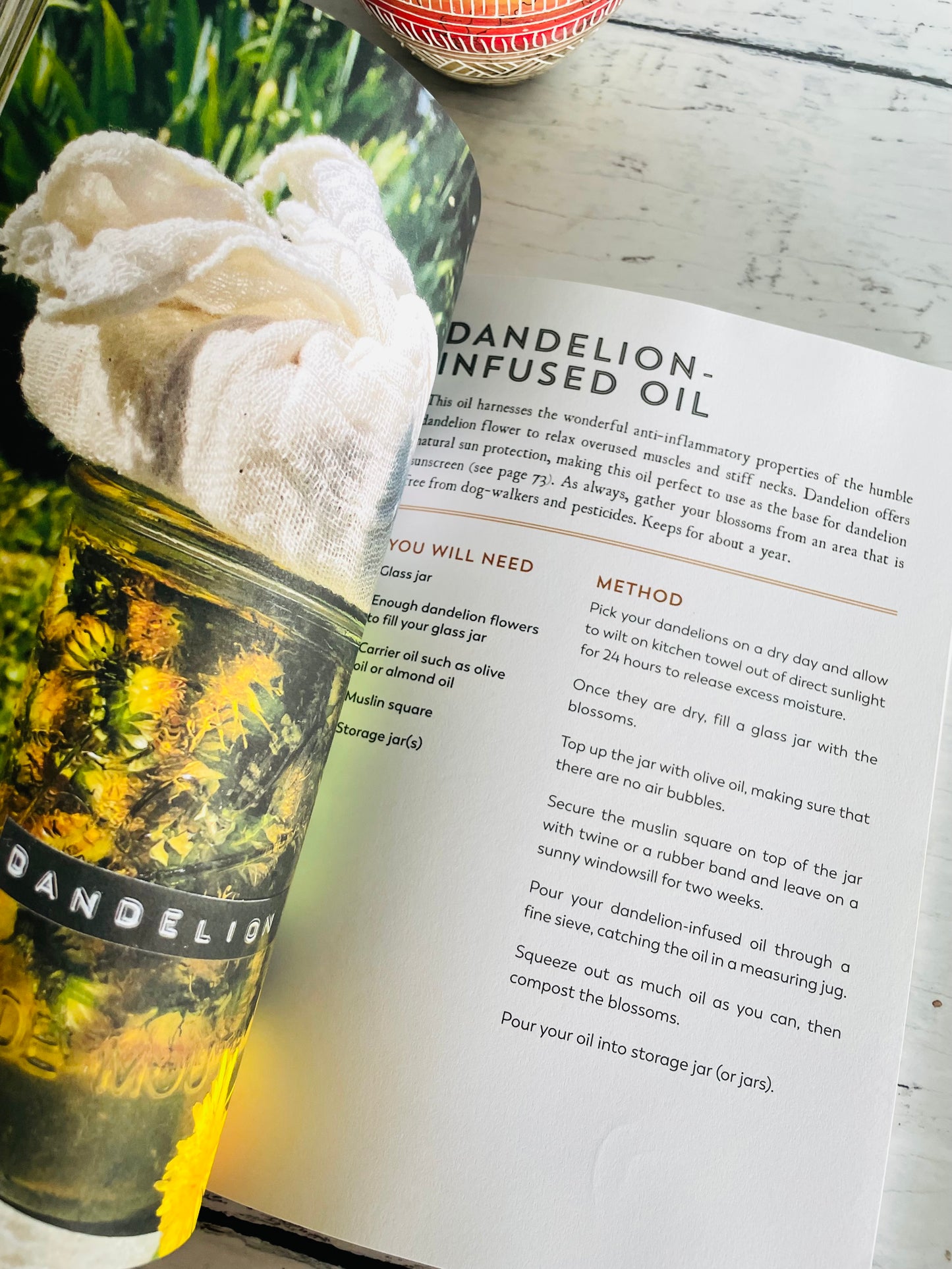 The Hedgerow Apothecary Forager's Handbook