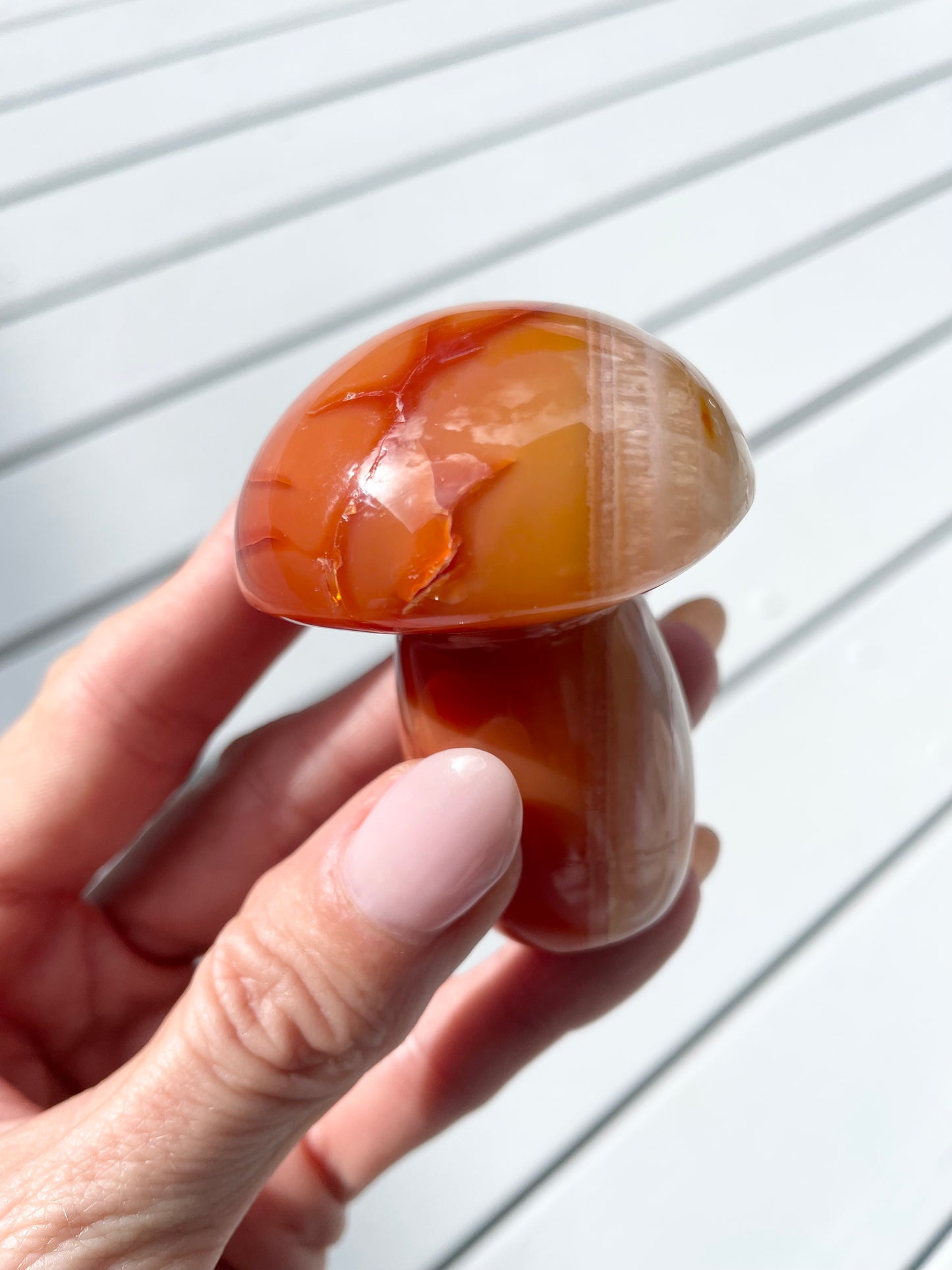 Carnelian Mushroom