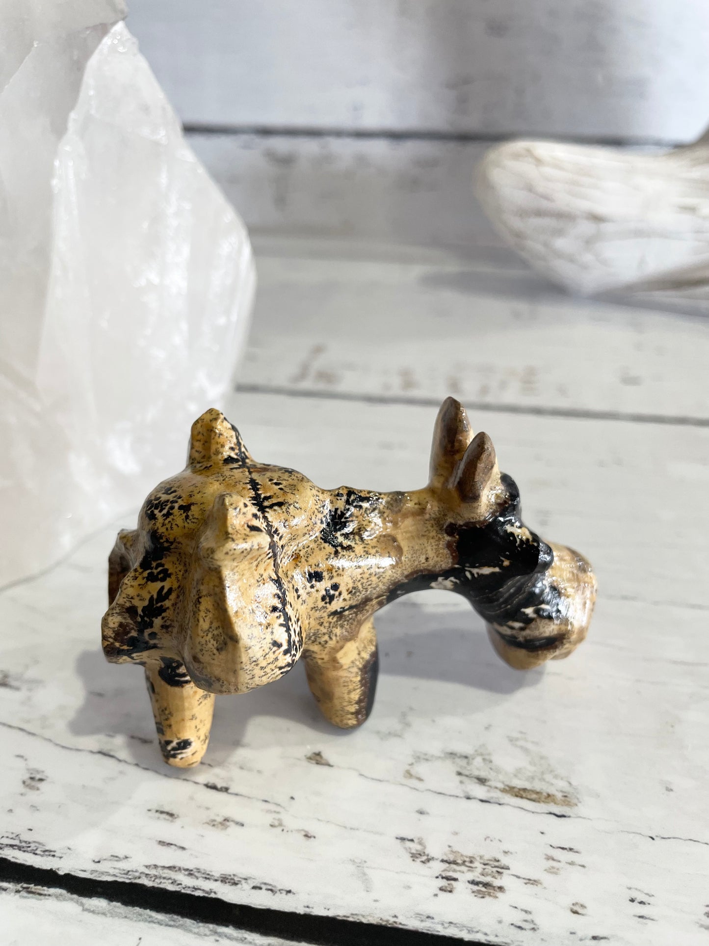 Picture Jasper Donkey ~ 15
