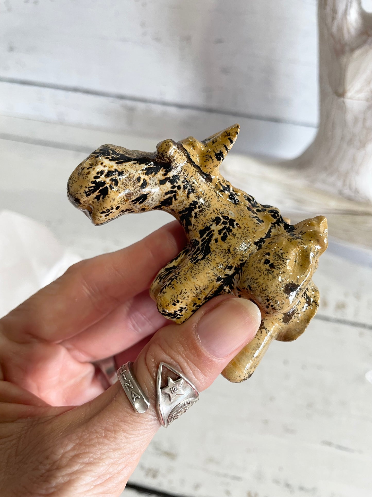 Picture Jasper Donkey ~ 12