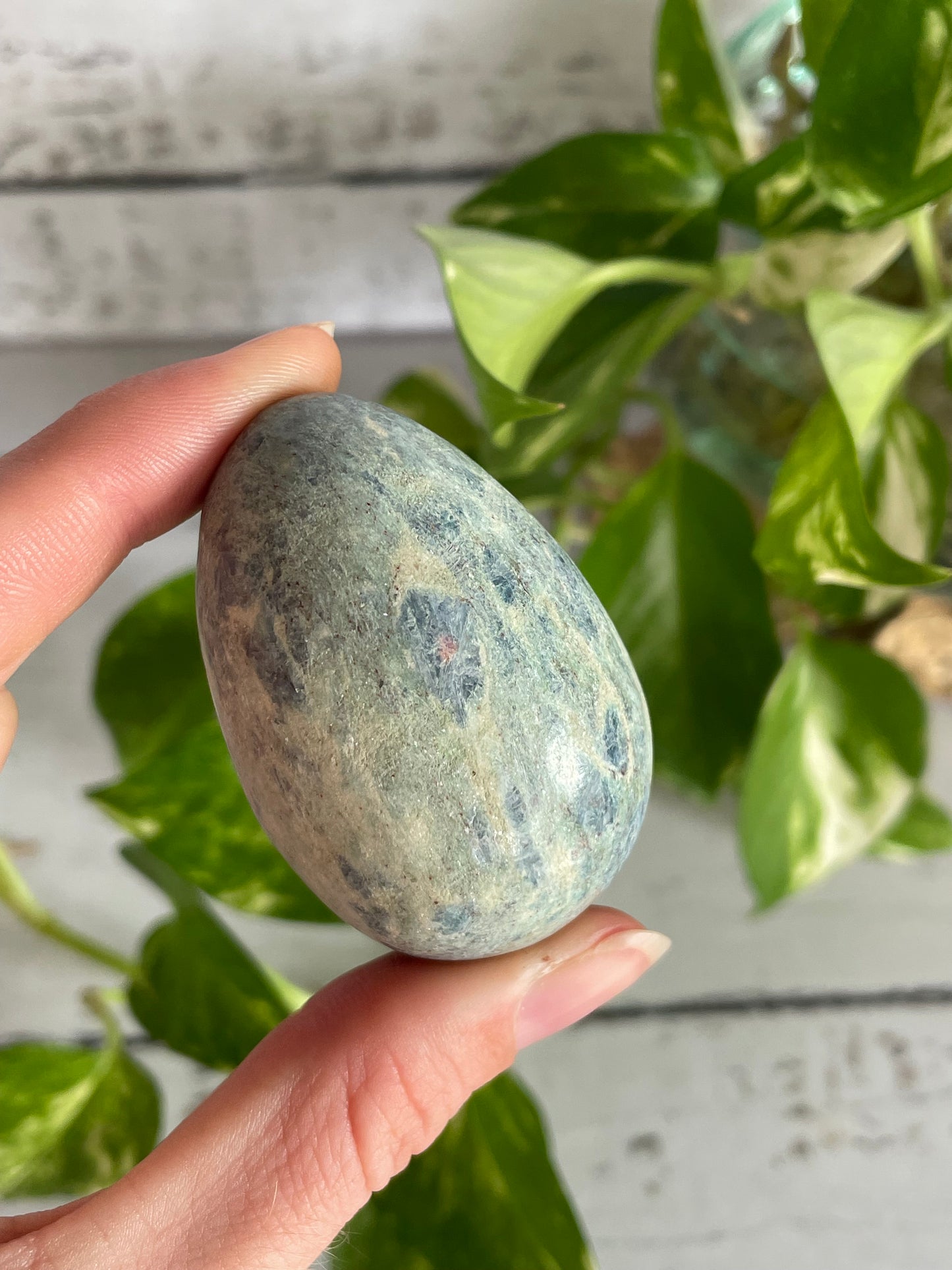 Fuchsite & Ruby Egg with holder
