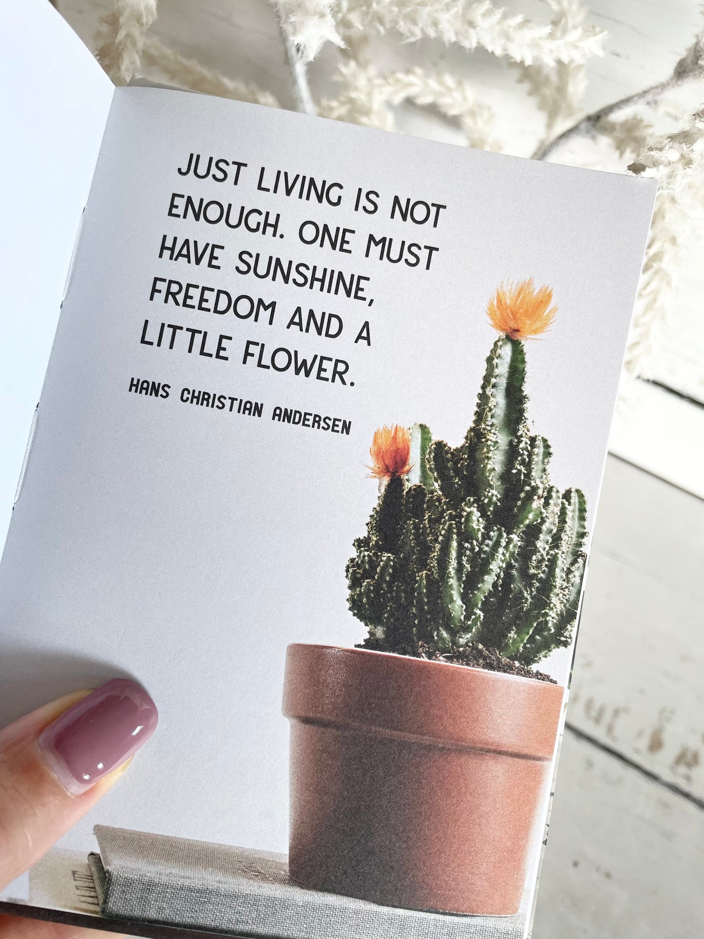 The Little Book for Plant Parents