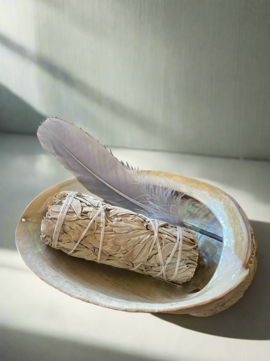 Abalone Shell Sacred White Sage Smudge ~ Set of 3