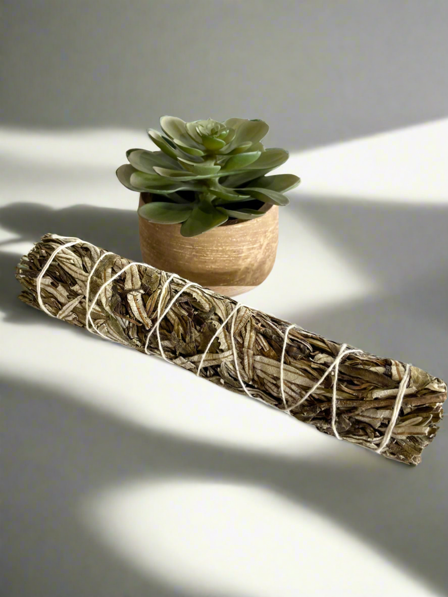Authentic Grandfather ~ Yerba Santa Sage