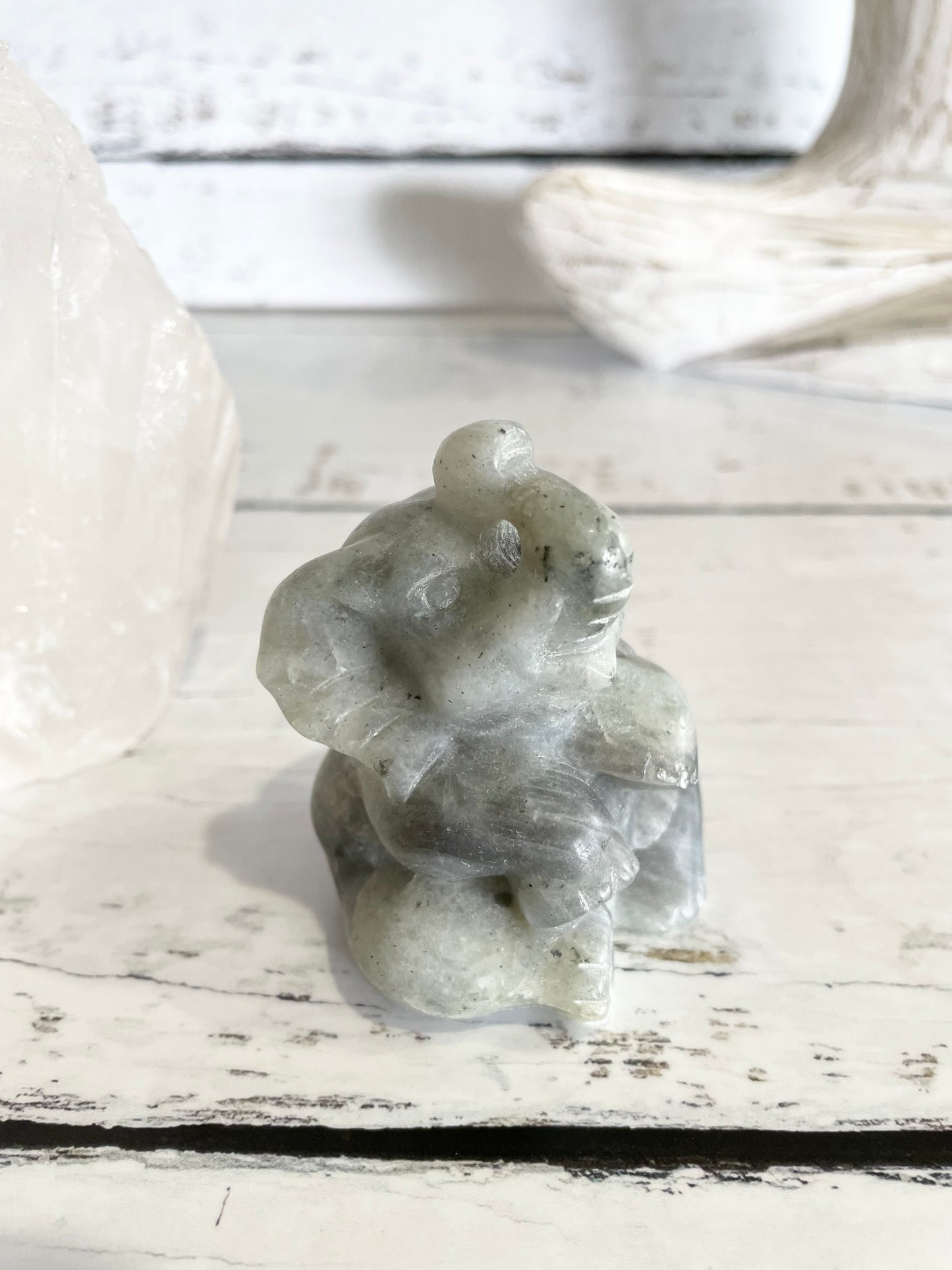 Elephant ~ Labradorite