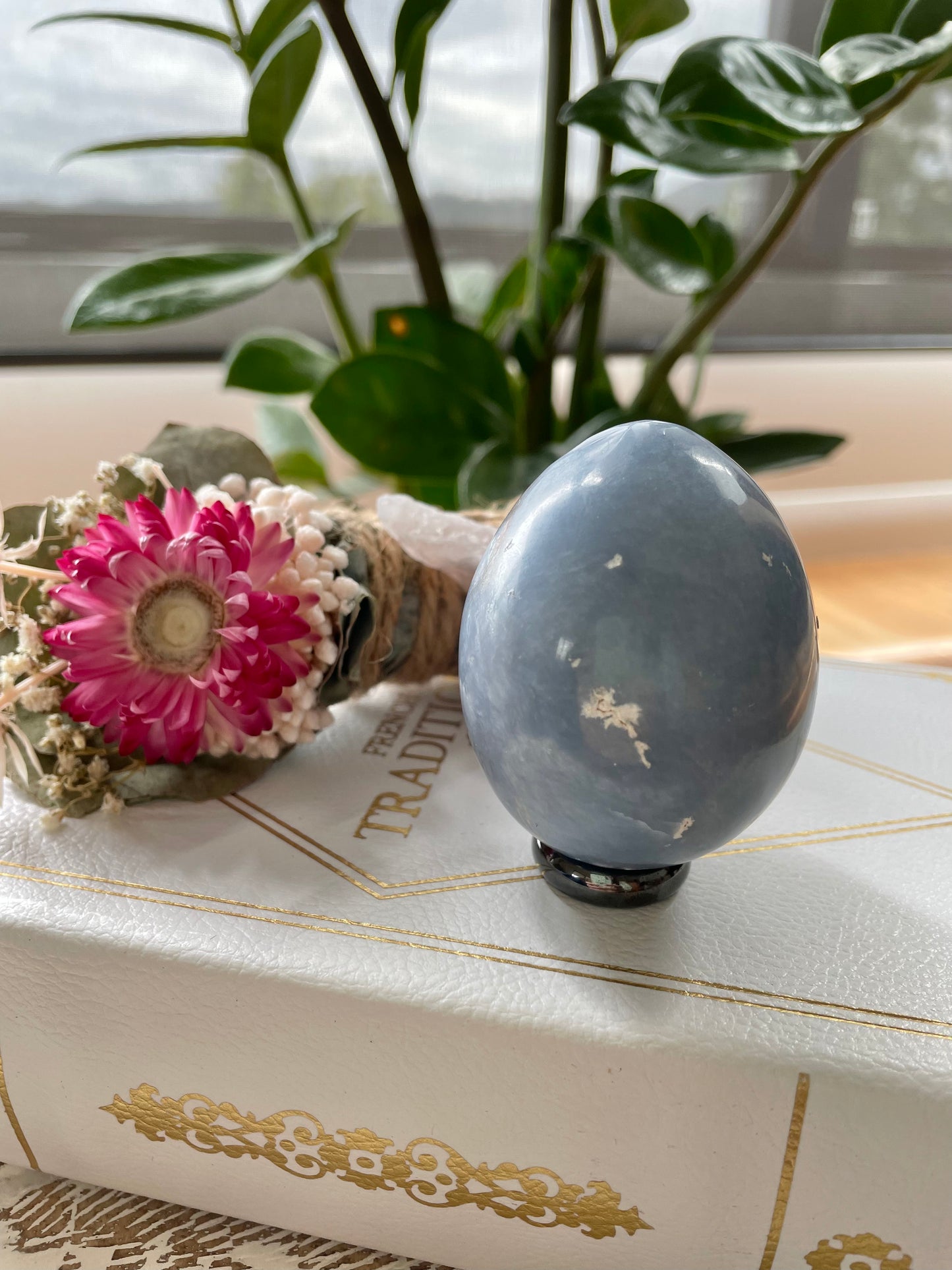 Angelite Egg with holder