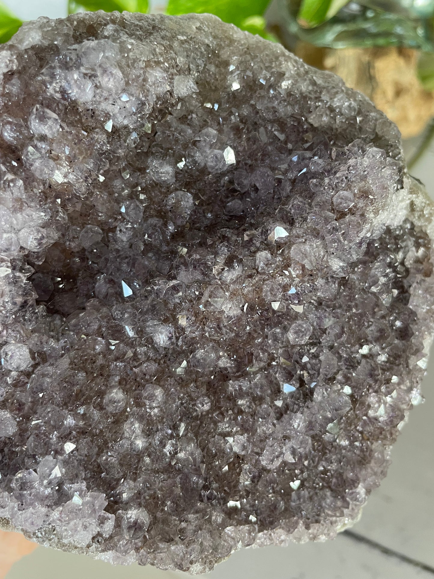 Amethyst Standing Cluster ~ 1.2kgs
