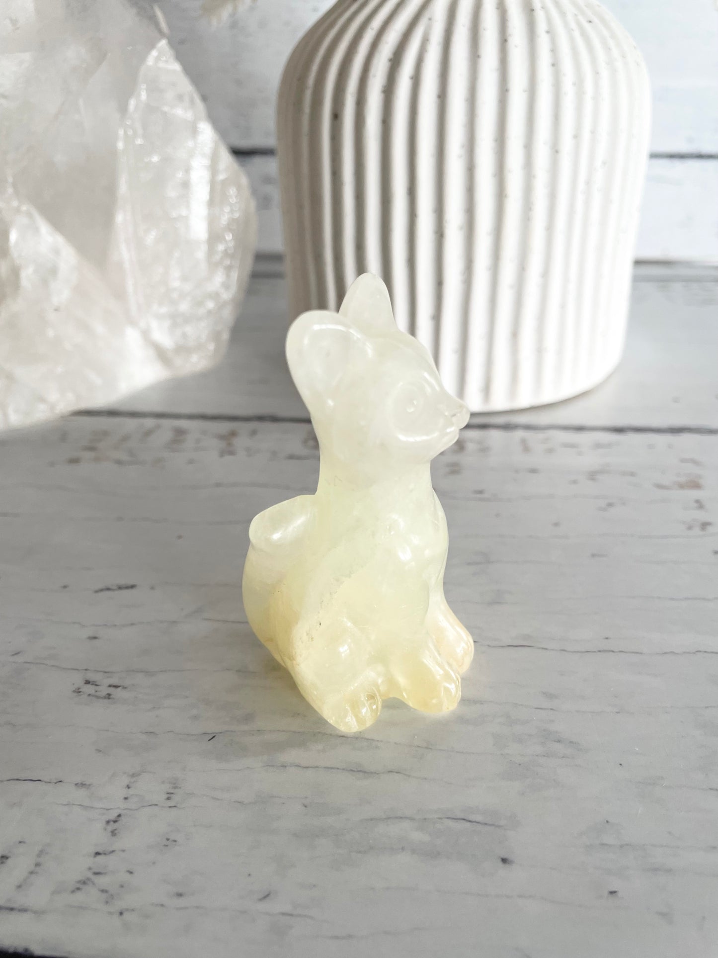 Cat - Afghanistan Jade