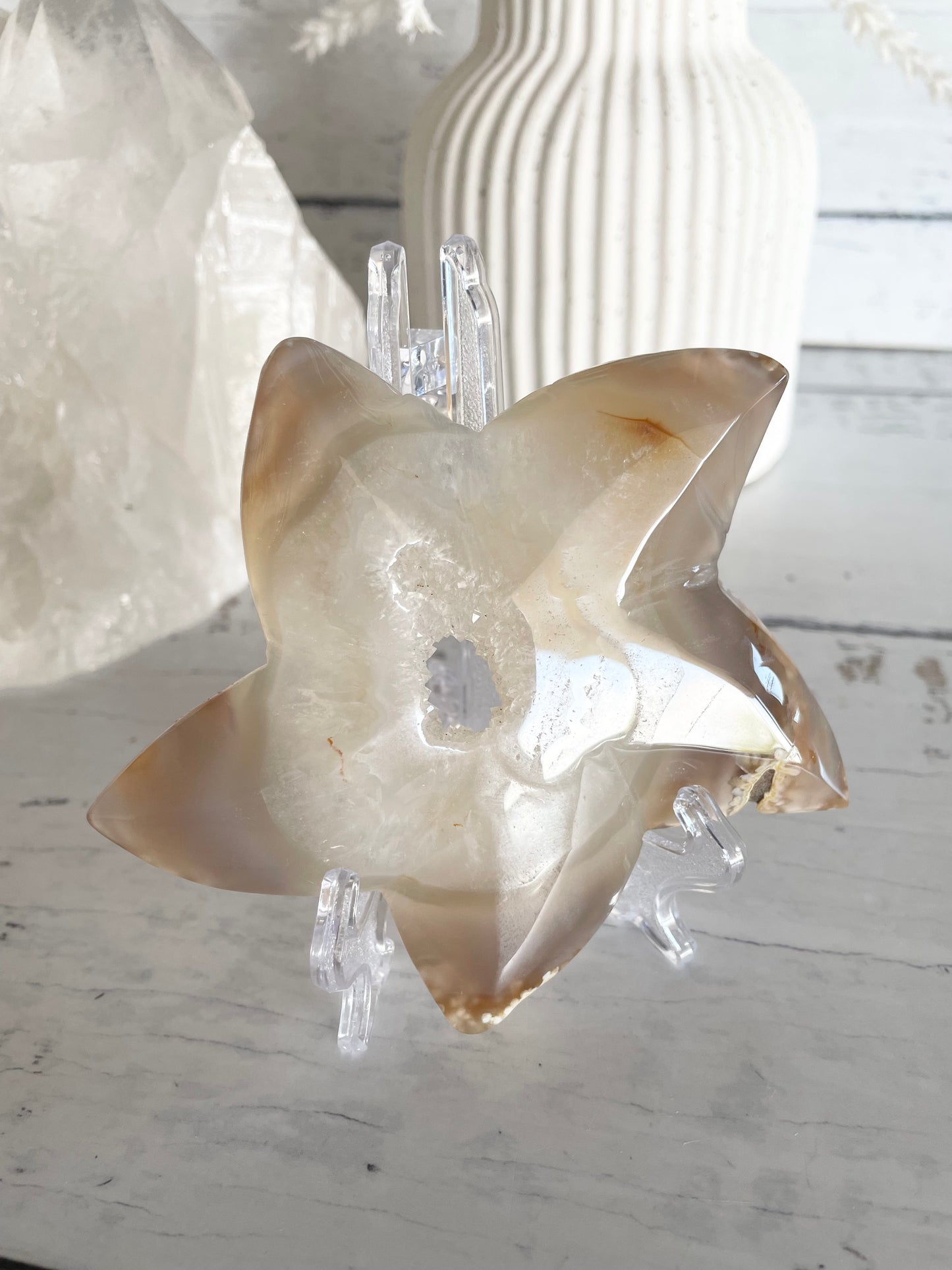 Natural Agate ~ Sea Star