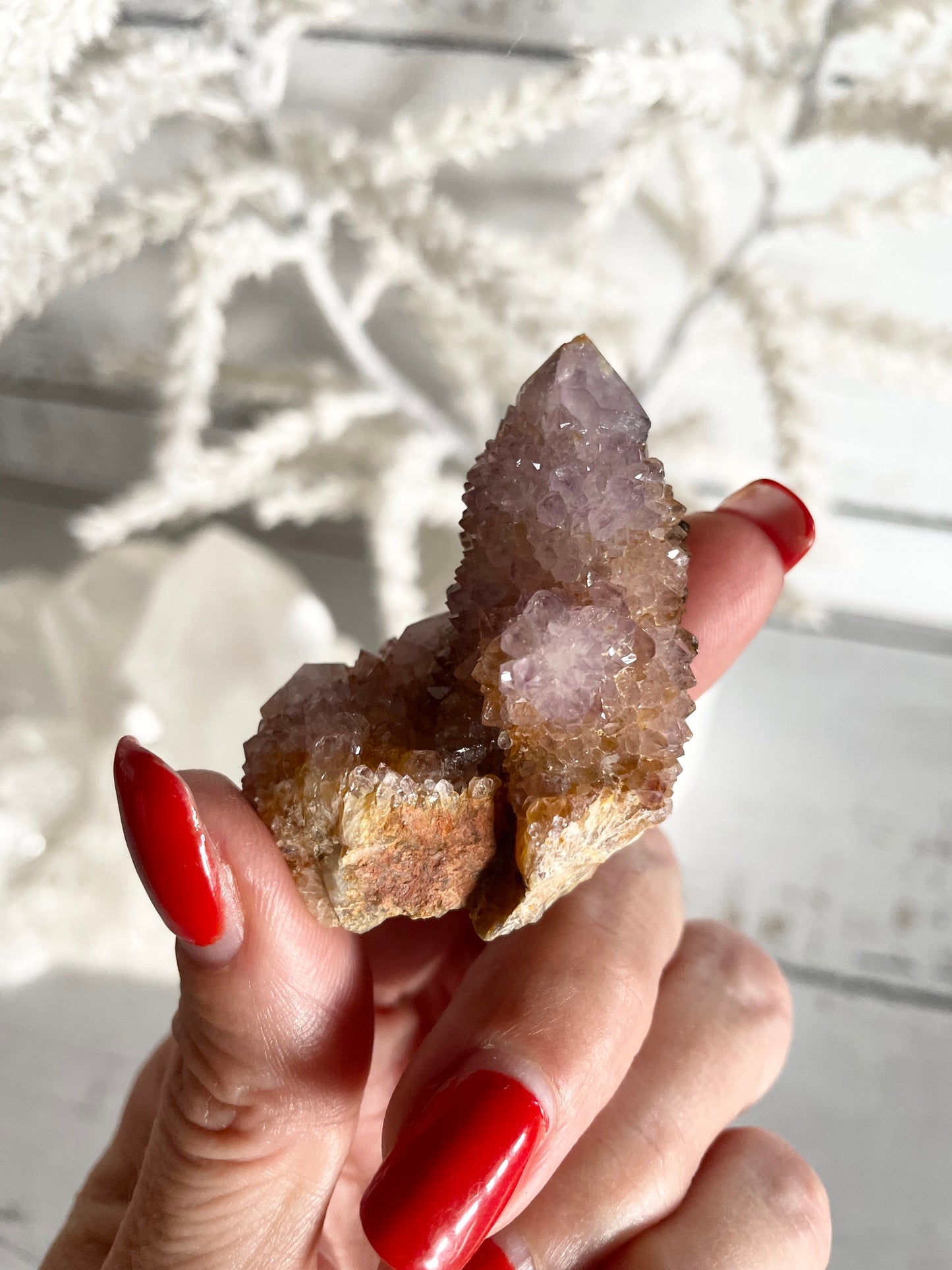 Spirit / Cactus Quartz Cluster
