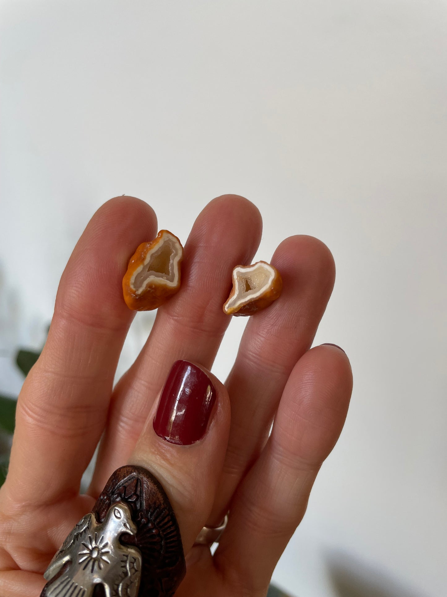 Quartz Geode ~ Redcliffe Peninsula