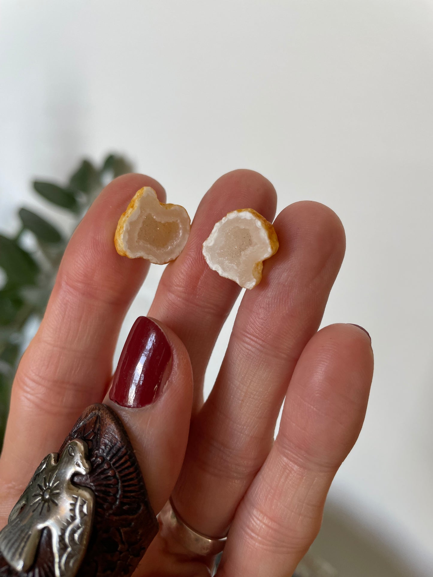 Quartz Geode ~ Redcliffe Peninsula