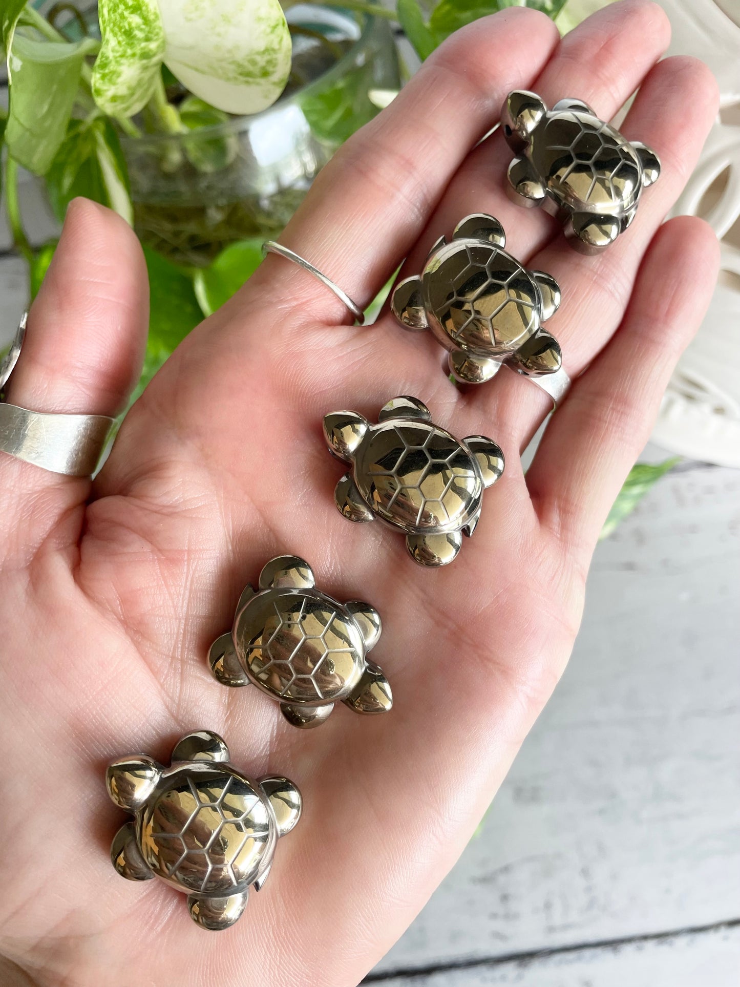 Pyrite ~ Grandmother Turtle