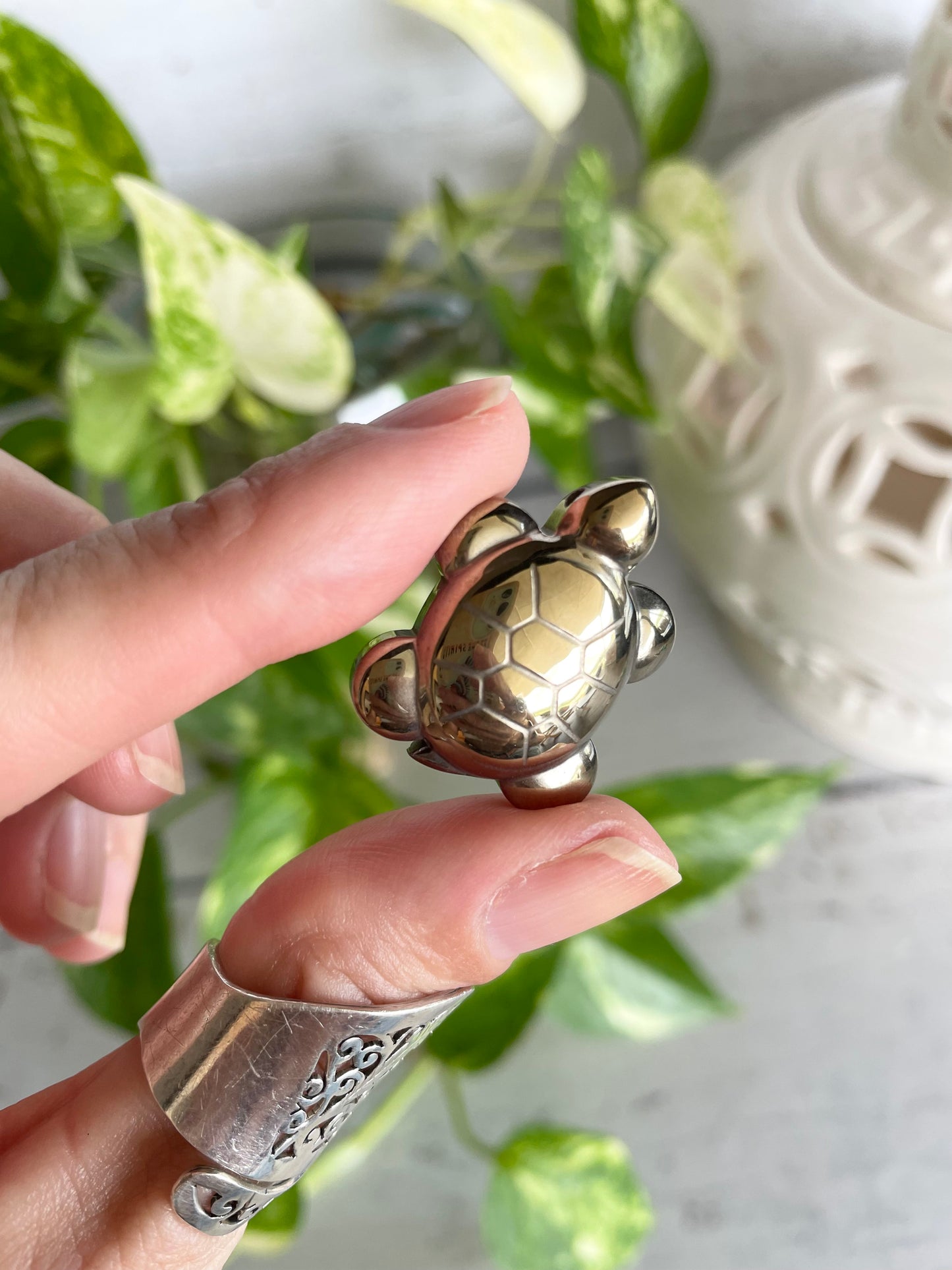 Pyrite ~ Grandmother Turtle
