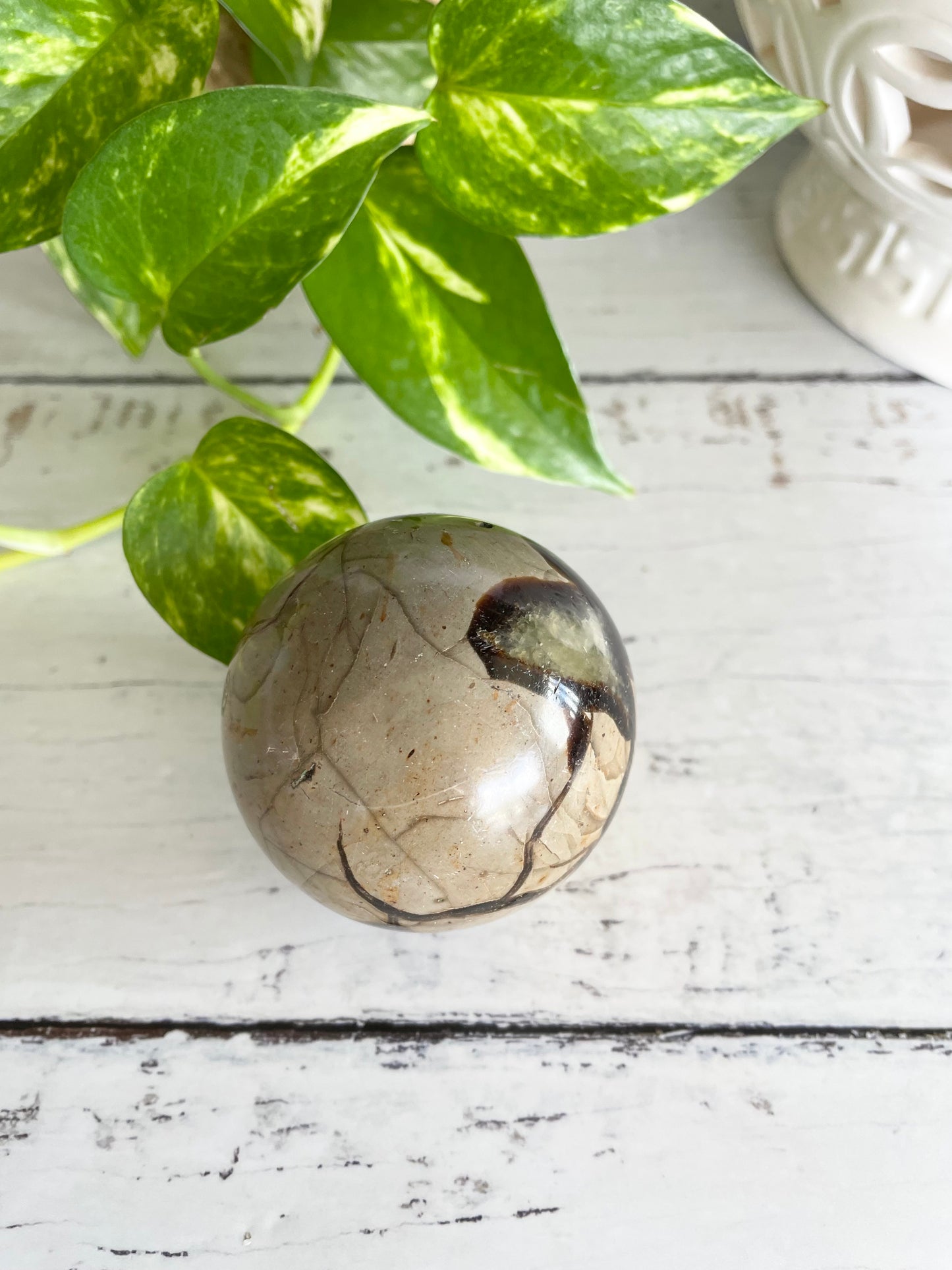 Septarian Sphere Includes Holder