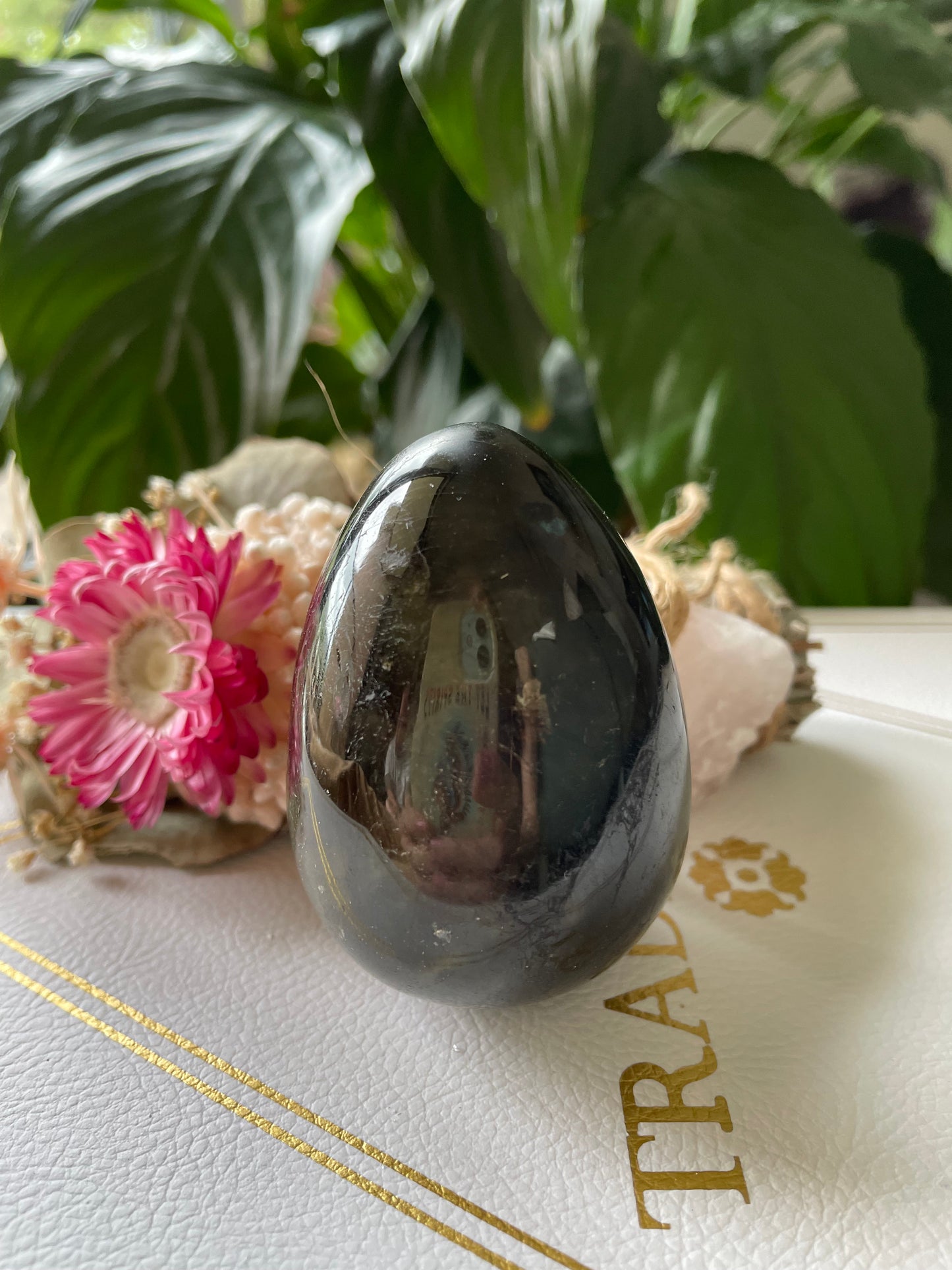 Labradorite Egg with holder