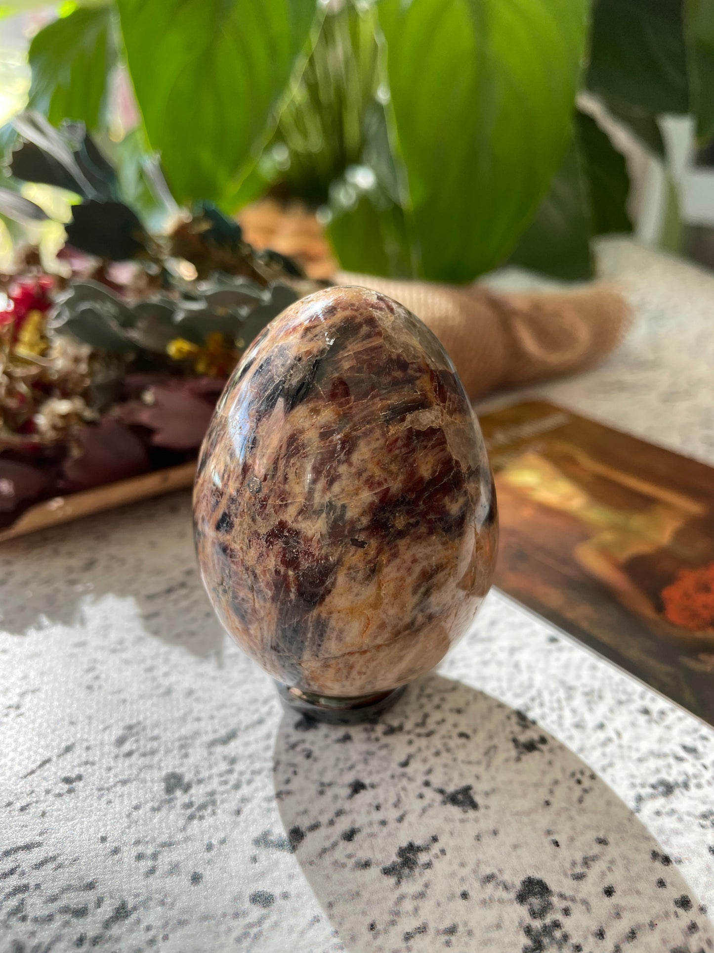 Madagascan Jasper Egg with holder