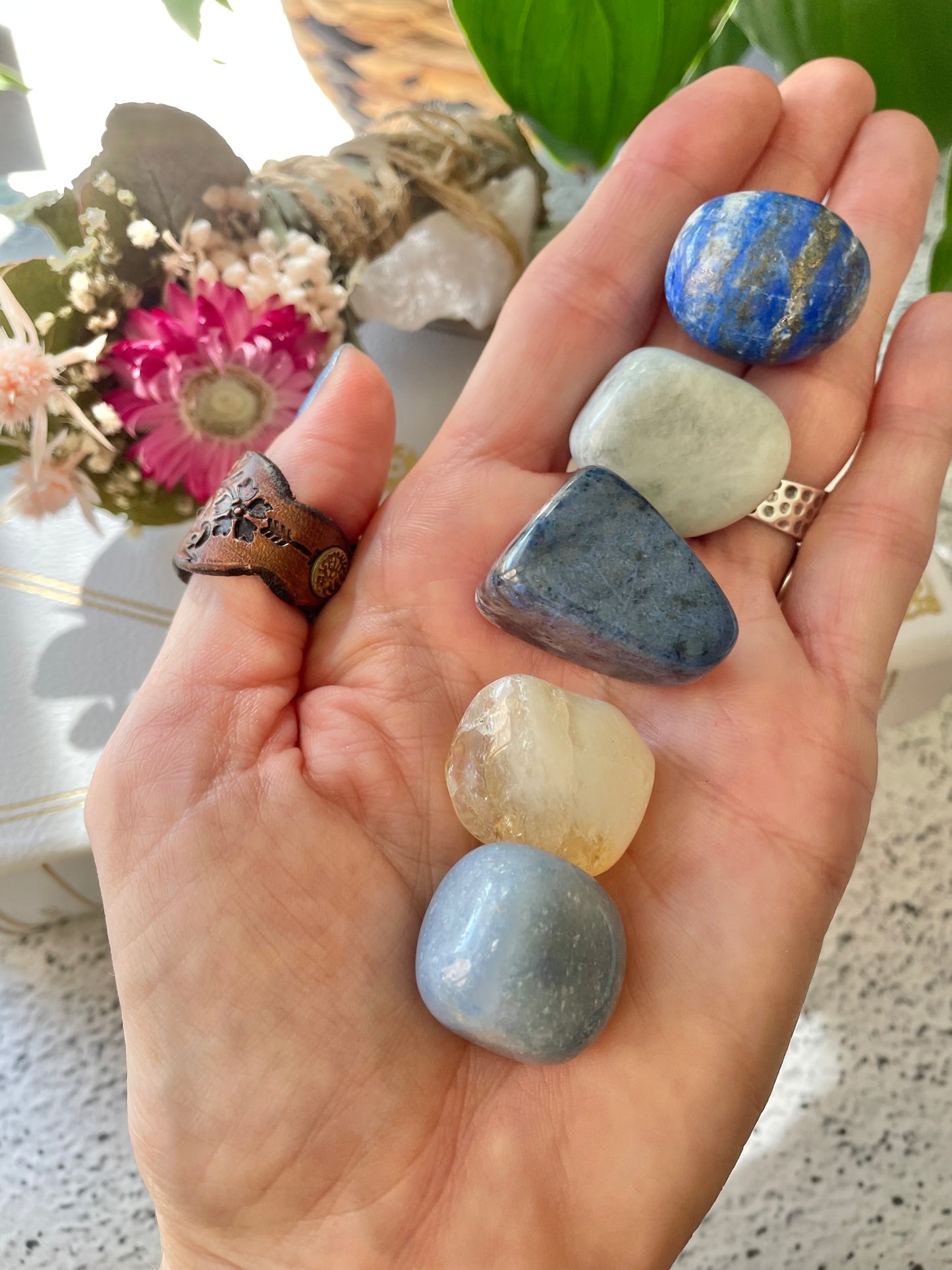 Thyroid/Hashimoto’s Healing Pouch ©️