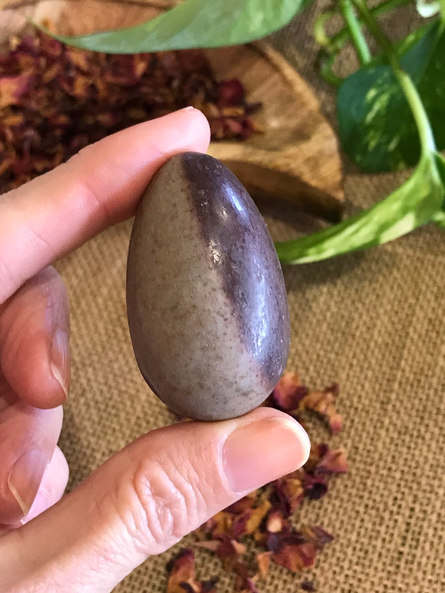 Shiva Narmada Egg with holder