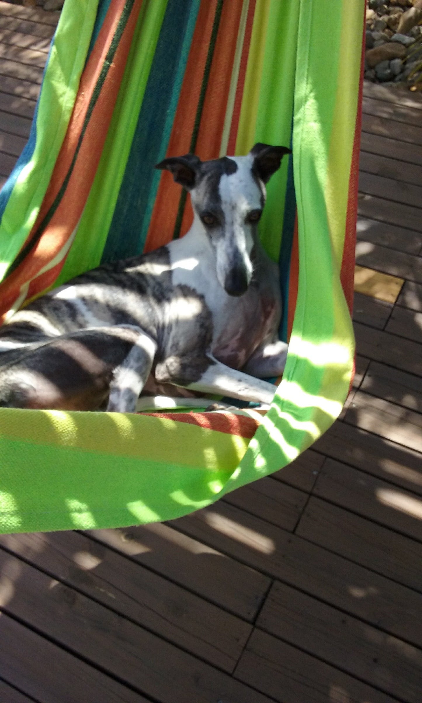 GRIEF EASING Healing Pouch©️