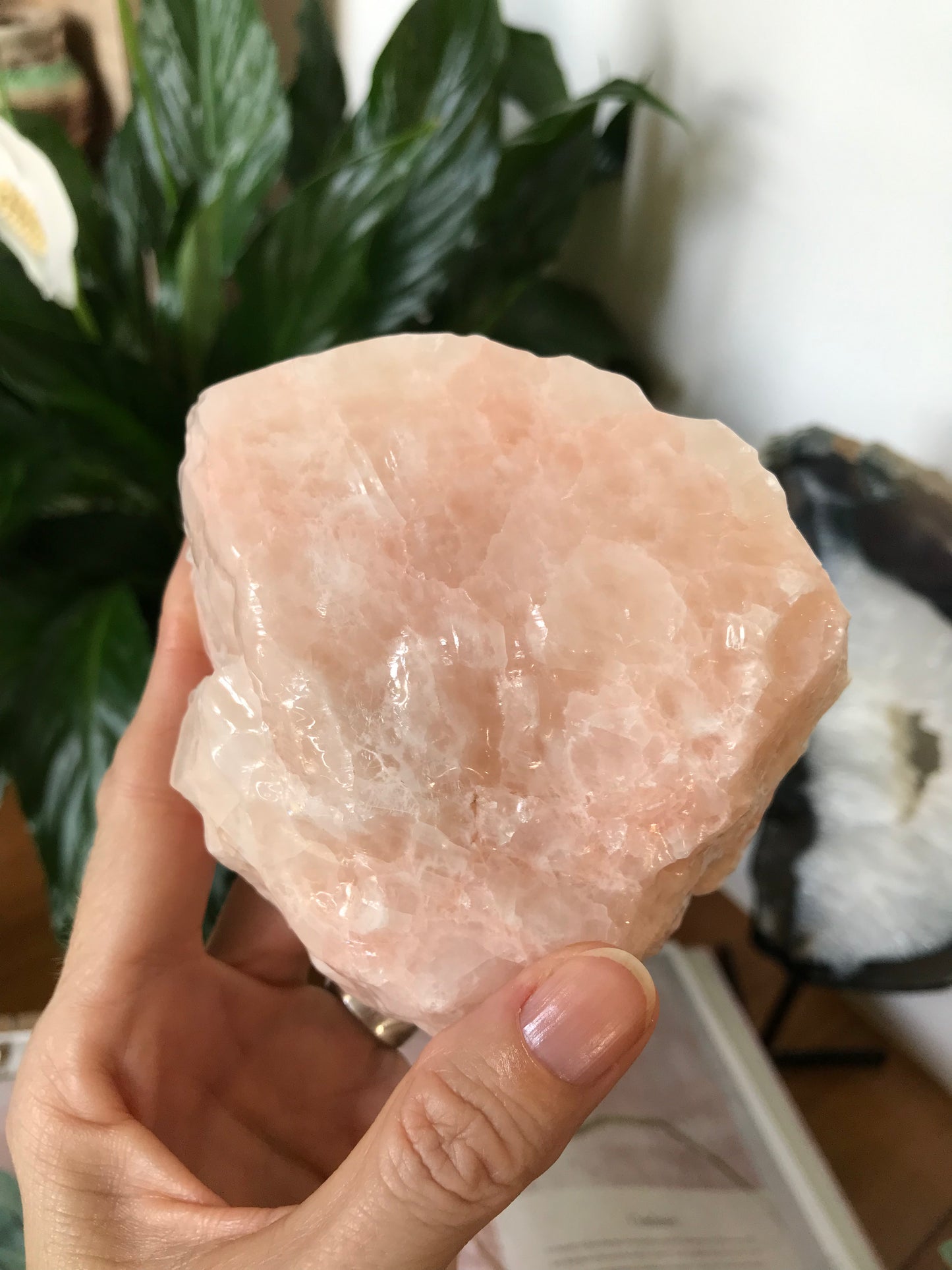 Rose Calcite