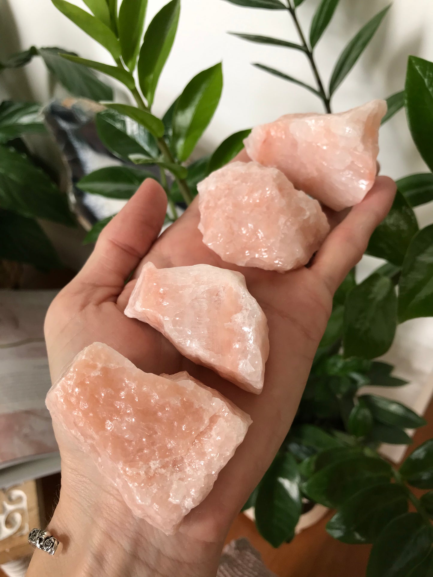 INTUITIVELY CHOSEN ~ Rose Calcite