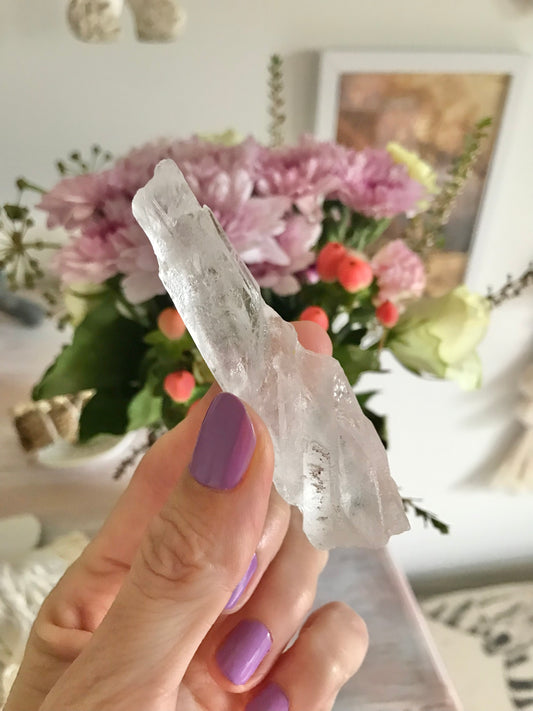 Natural Root Lemurian Seed and Energy Healings