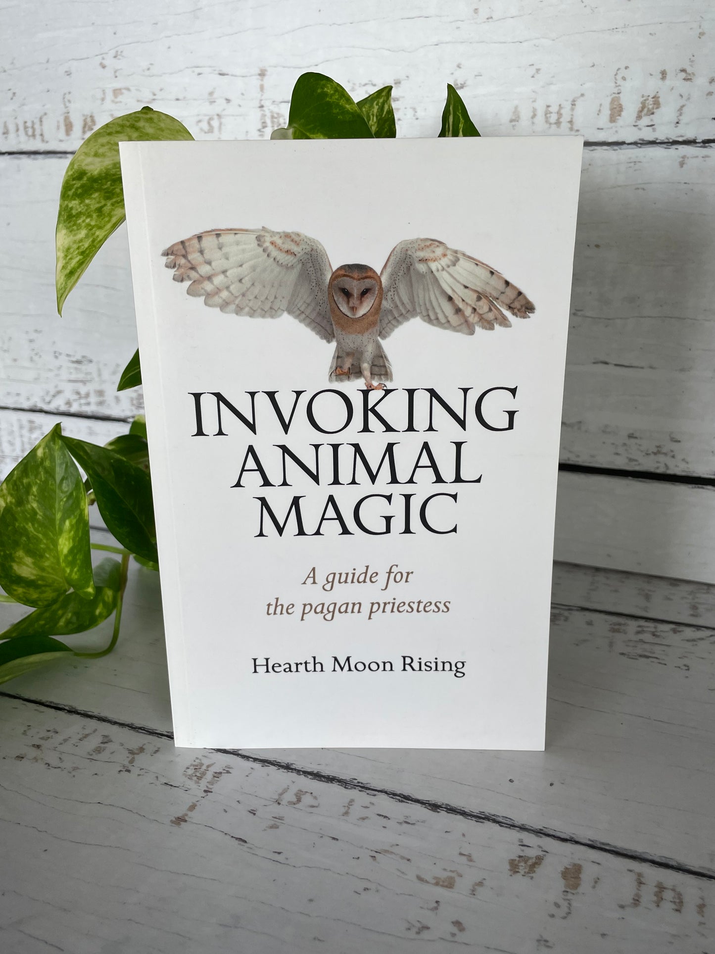 Invoking Animal Magic