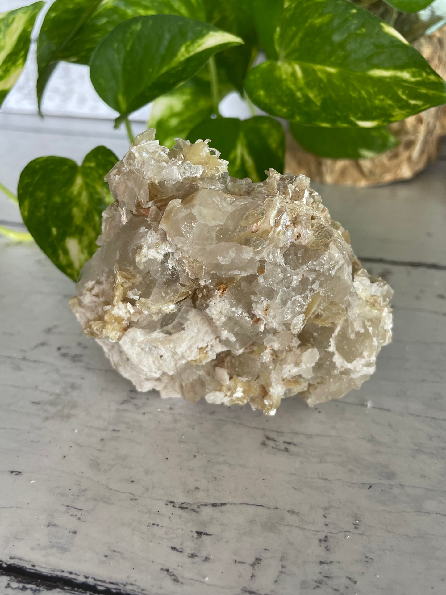 Mica in Quartz Cluster