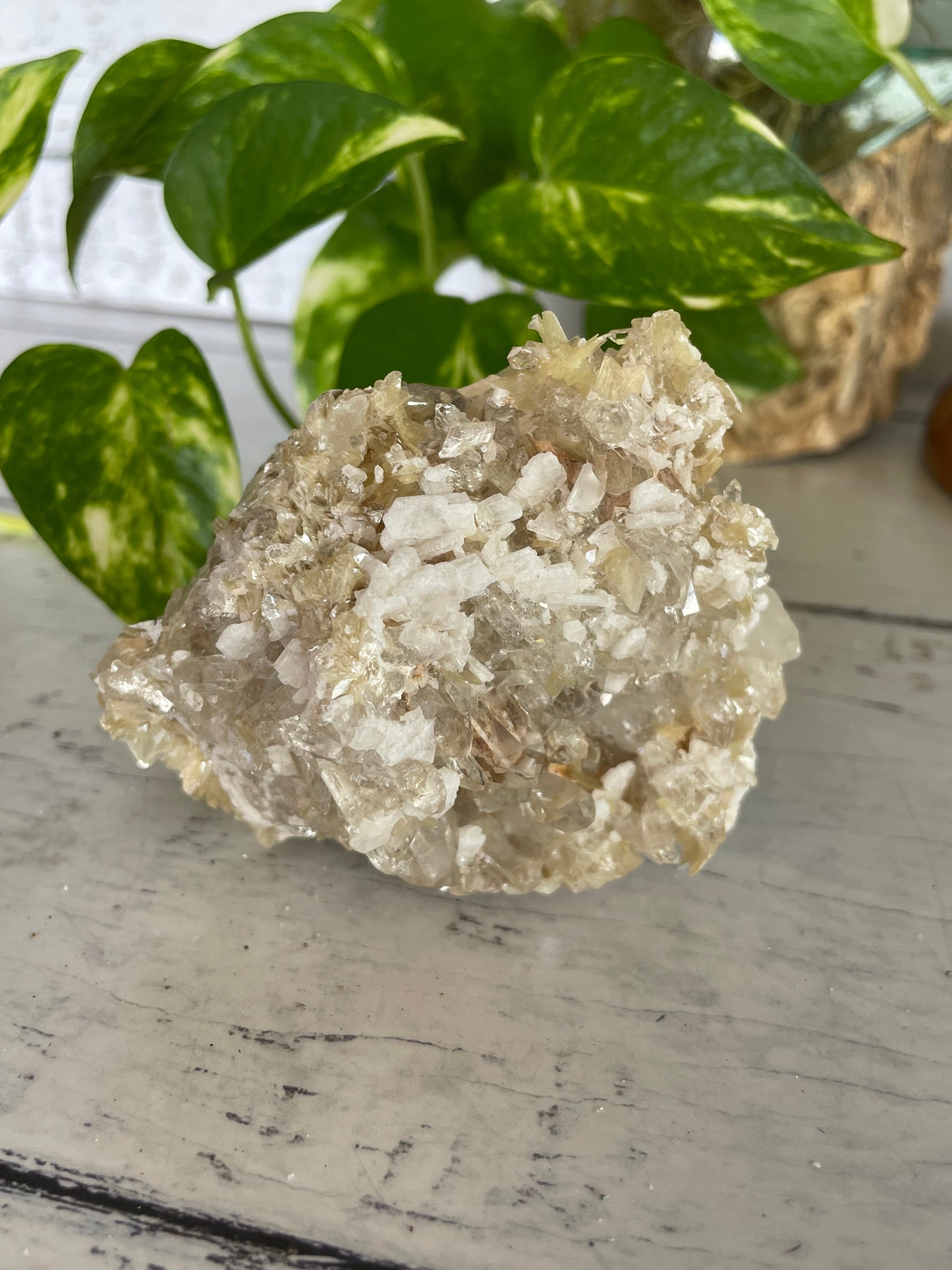 Mica in Quartz Cluster