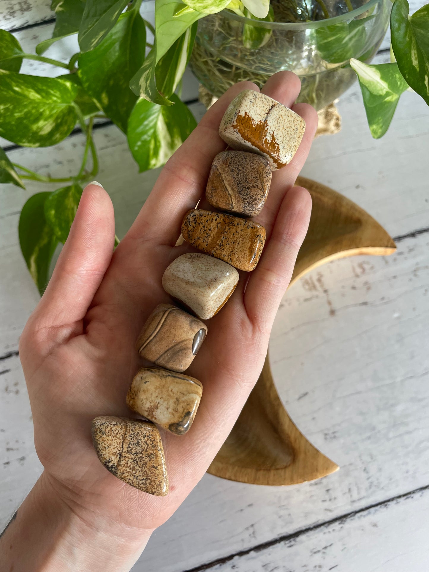 Picture Jasper Tumble Stones