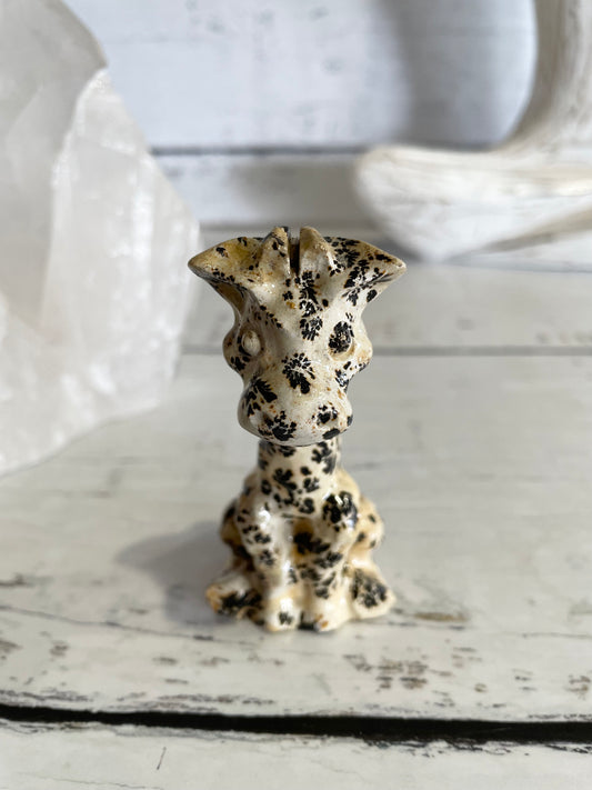 Picture Jasper Giraffe ~ 18