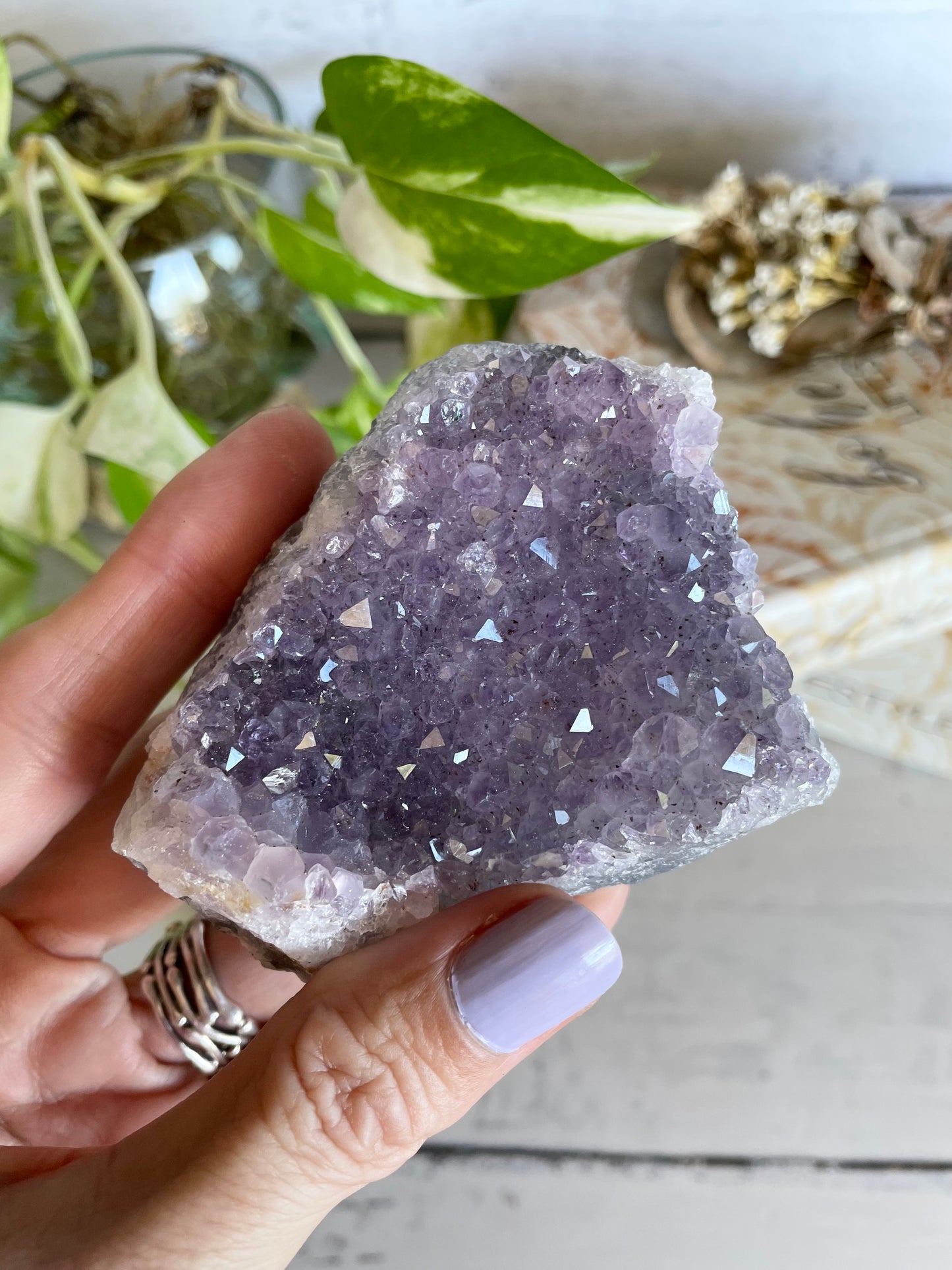 Amethyst Cluster