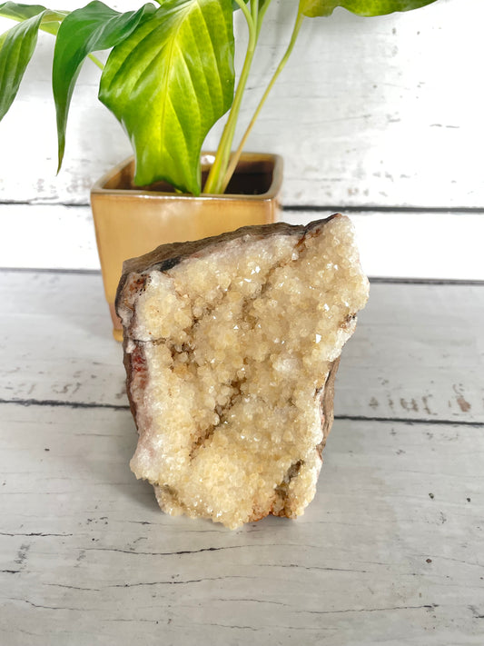 Citrine Standing Cluster