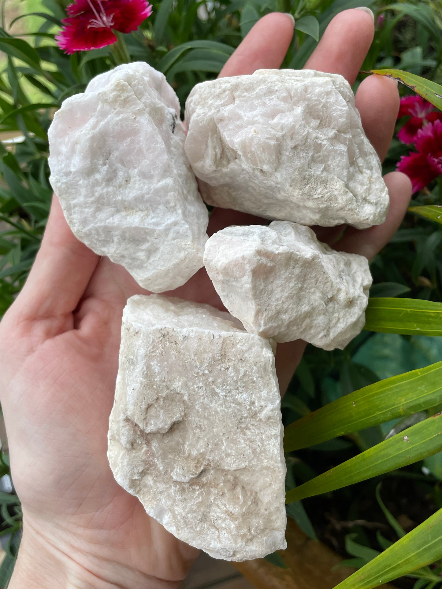 INTUITIVELY CHOSEN ~ Mangano Calcite