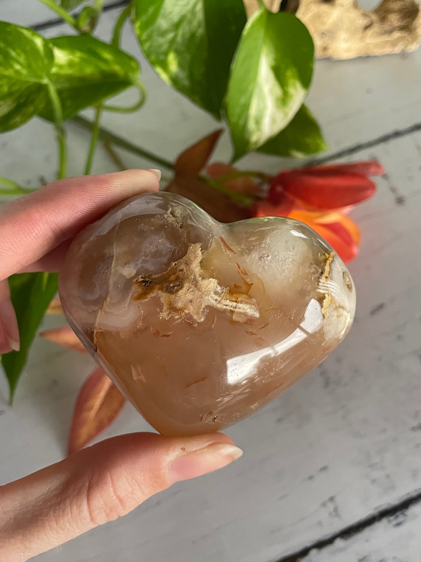 Flower Agate Heart